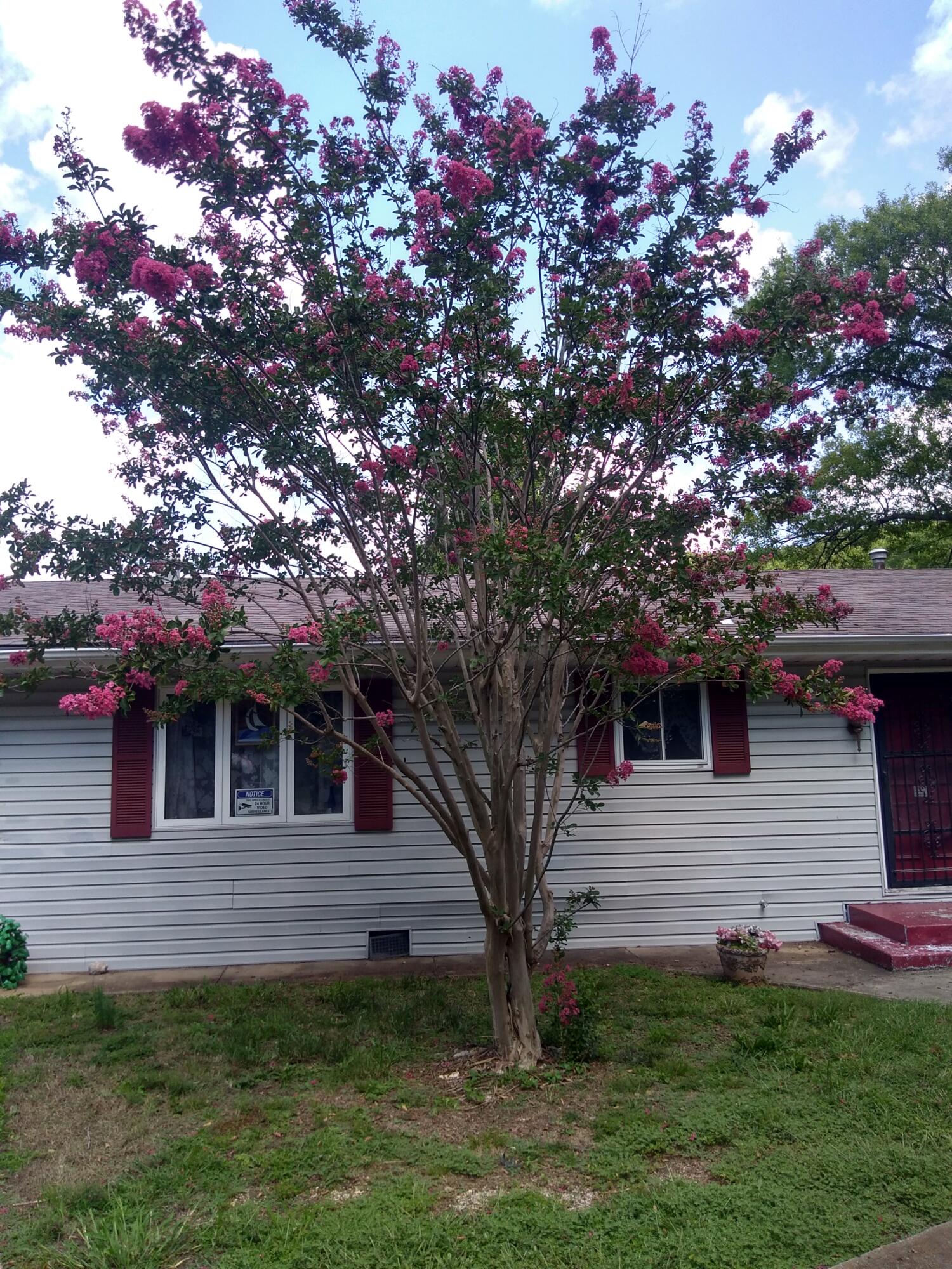 144 Westview Drive Property Photo 4