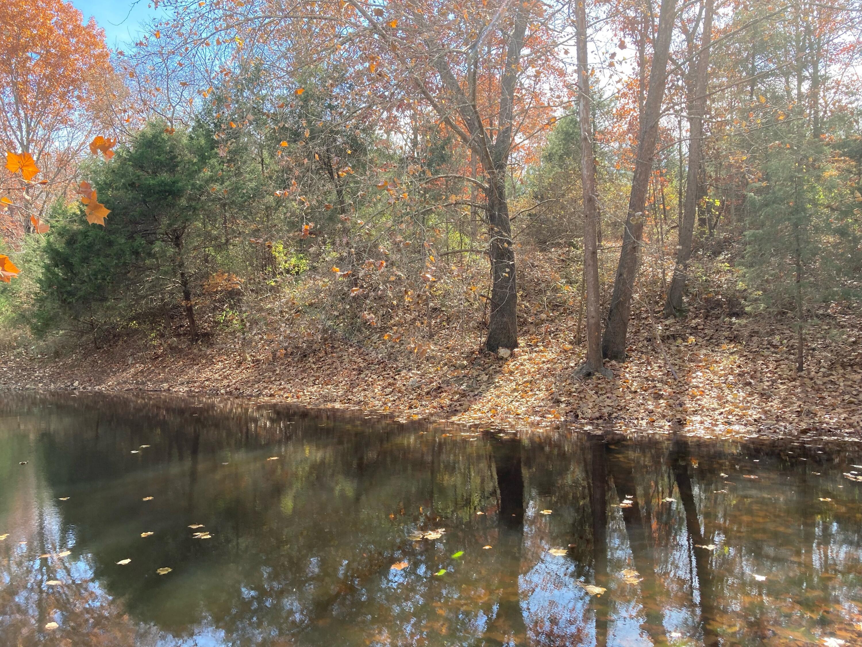 6312 County Road W76-436 Property Photo 15
