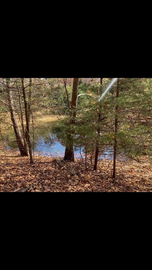 6312 County Road W76-436 Property Photo 16