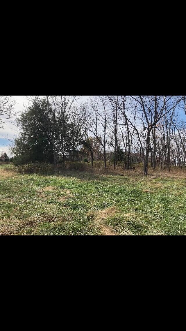 6312 County Road W76-436 Property Photo 17