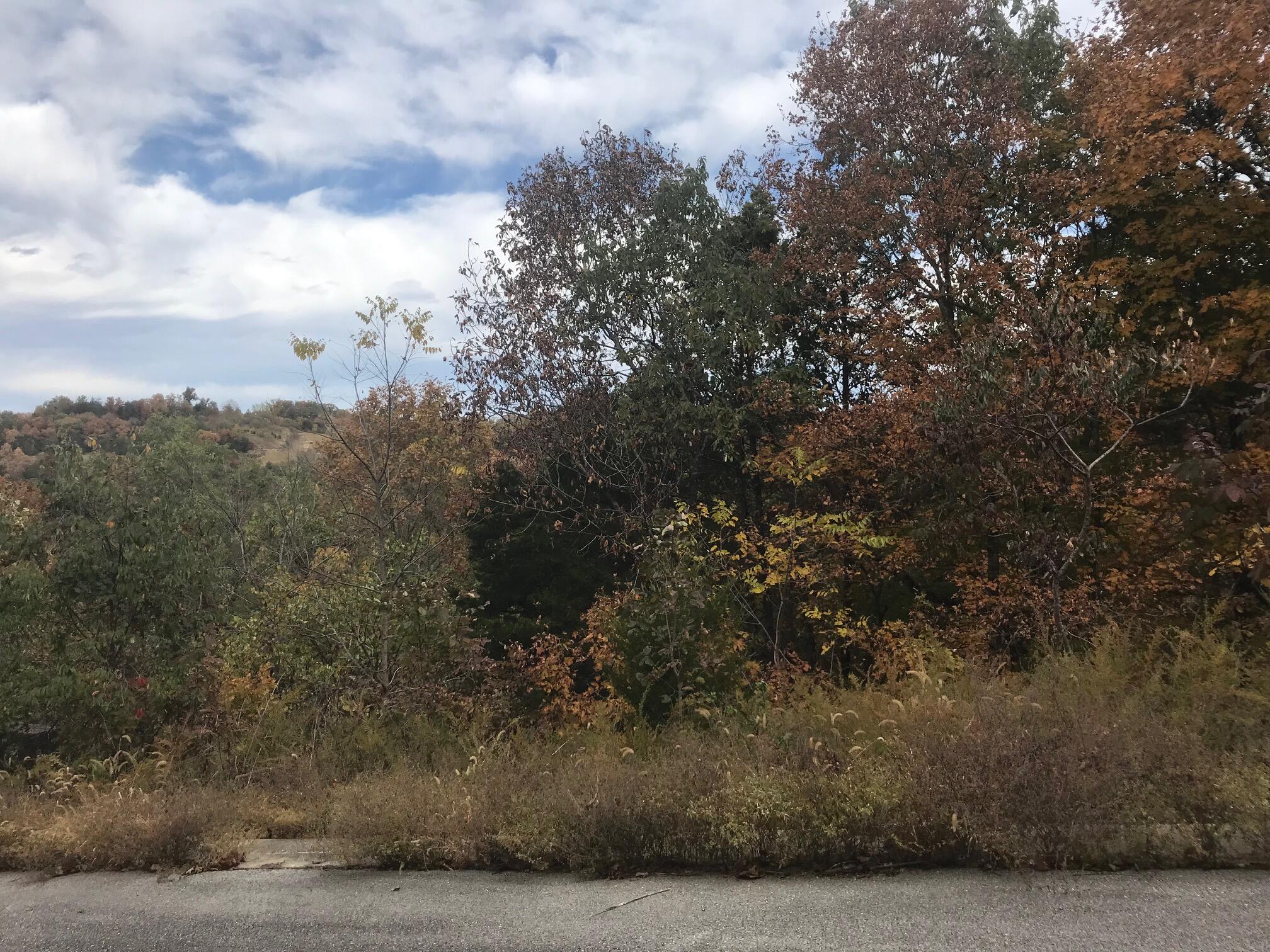 Lot 327 Emerald Isle Drive Property Photo 1