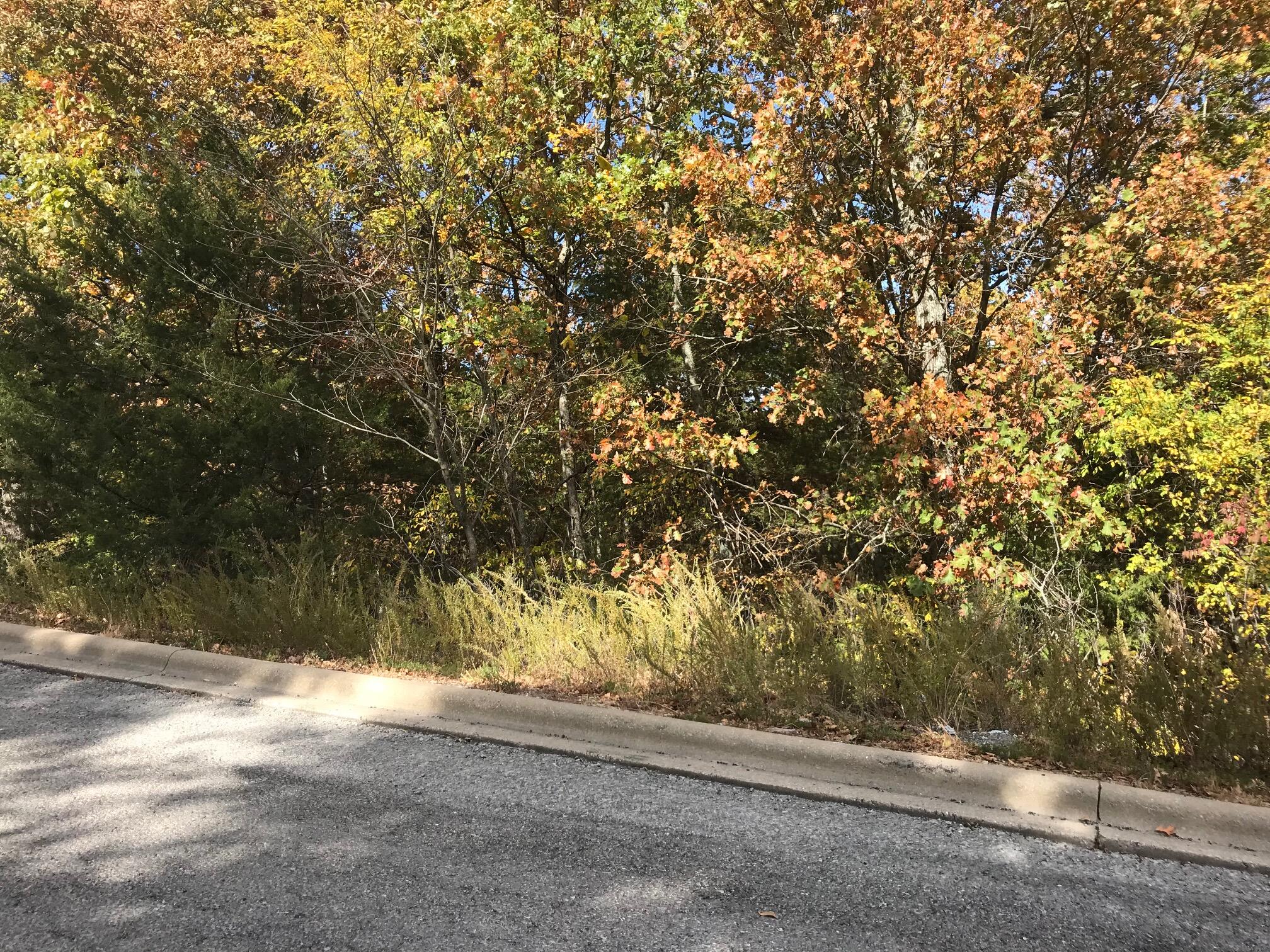 Lot 237 Crescent Drive Property Photo 2