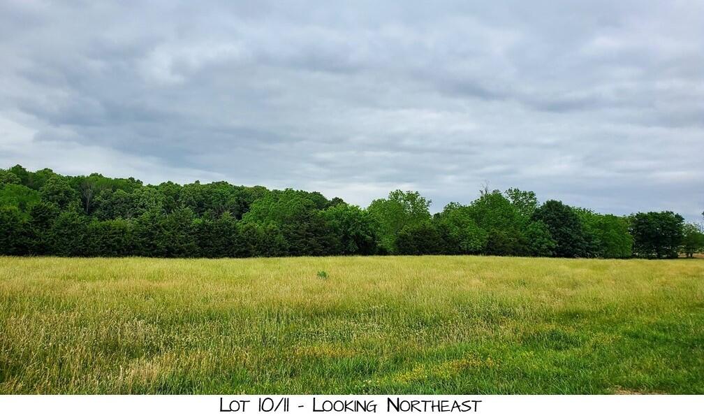 Lot 10 Pleasant View Rd Property Photo 1