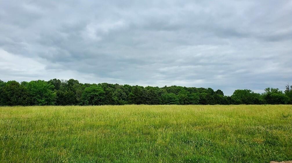 Lot 11 Pleasant View Rd Property Photo 1