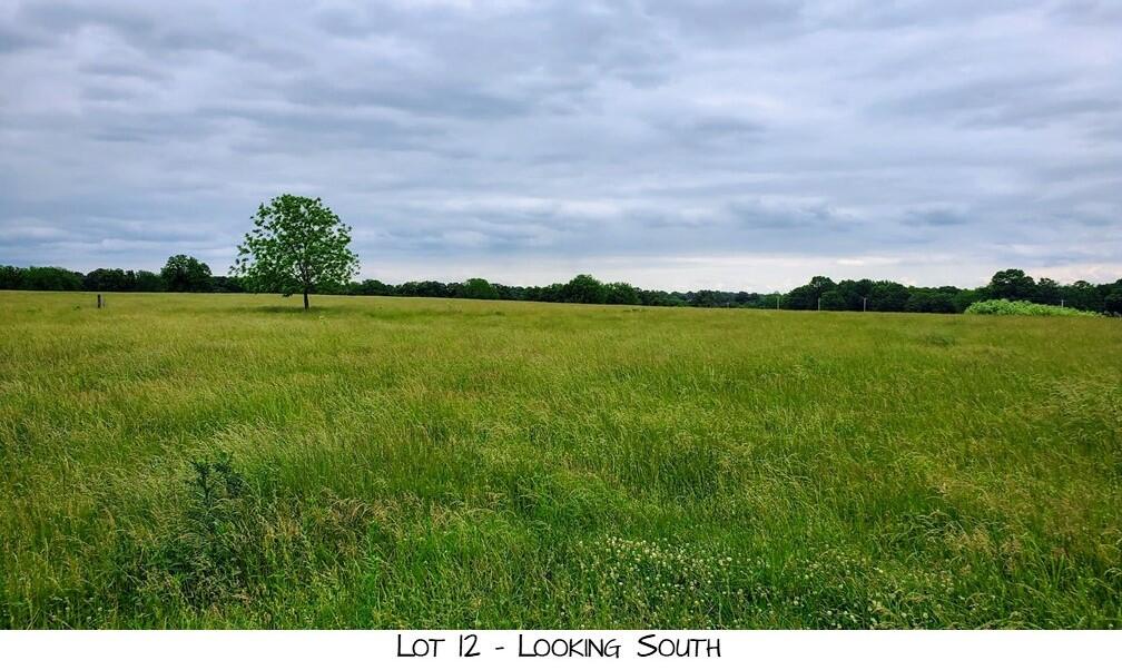 Lot 12 Prairie View Rd Property Photo 1