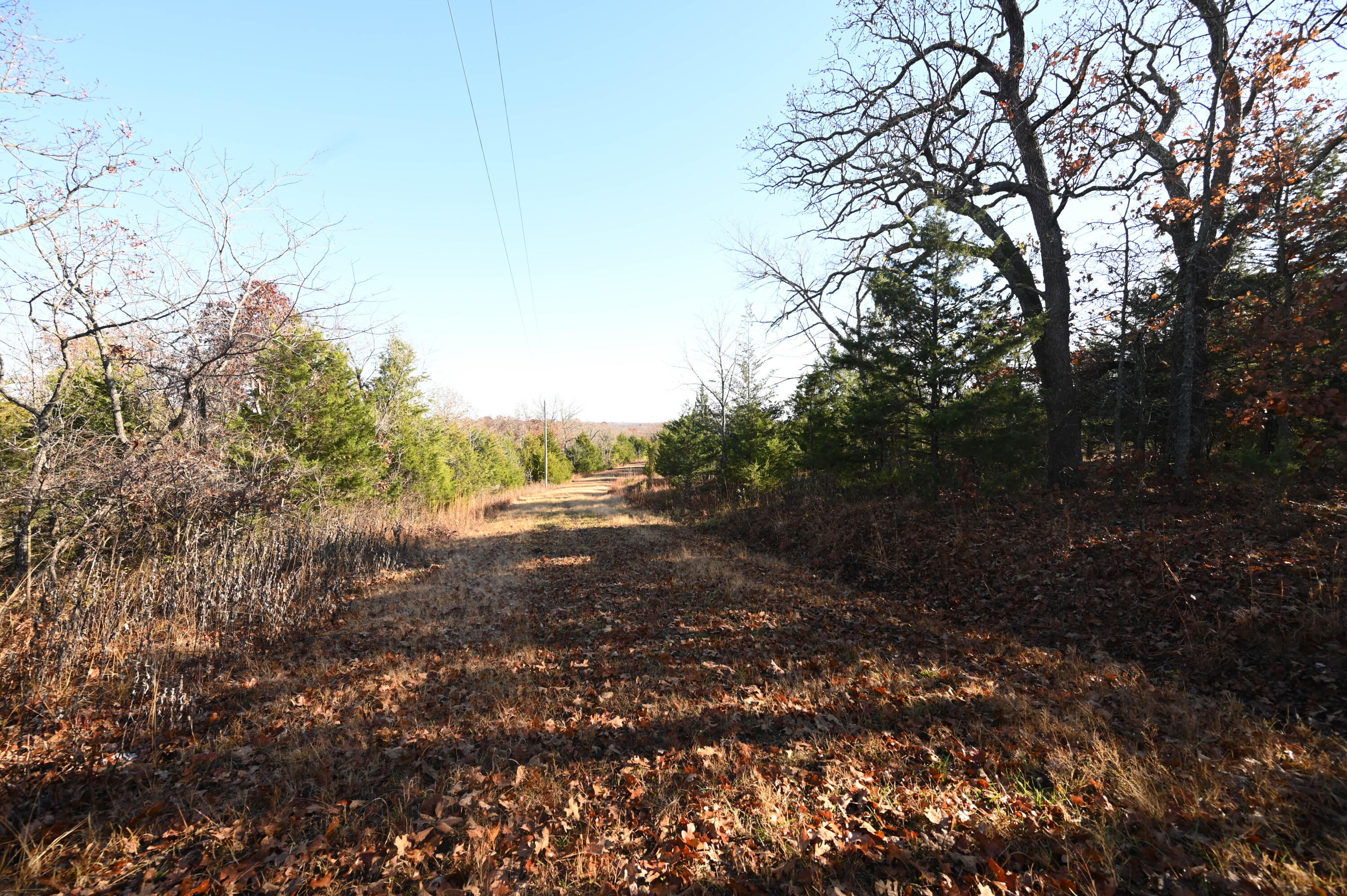 0000 Bradley Lane Property Photo 12