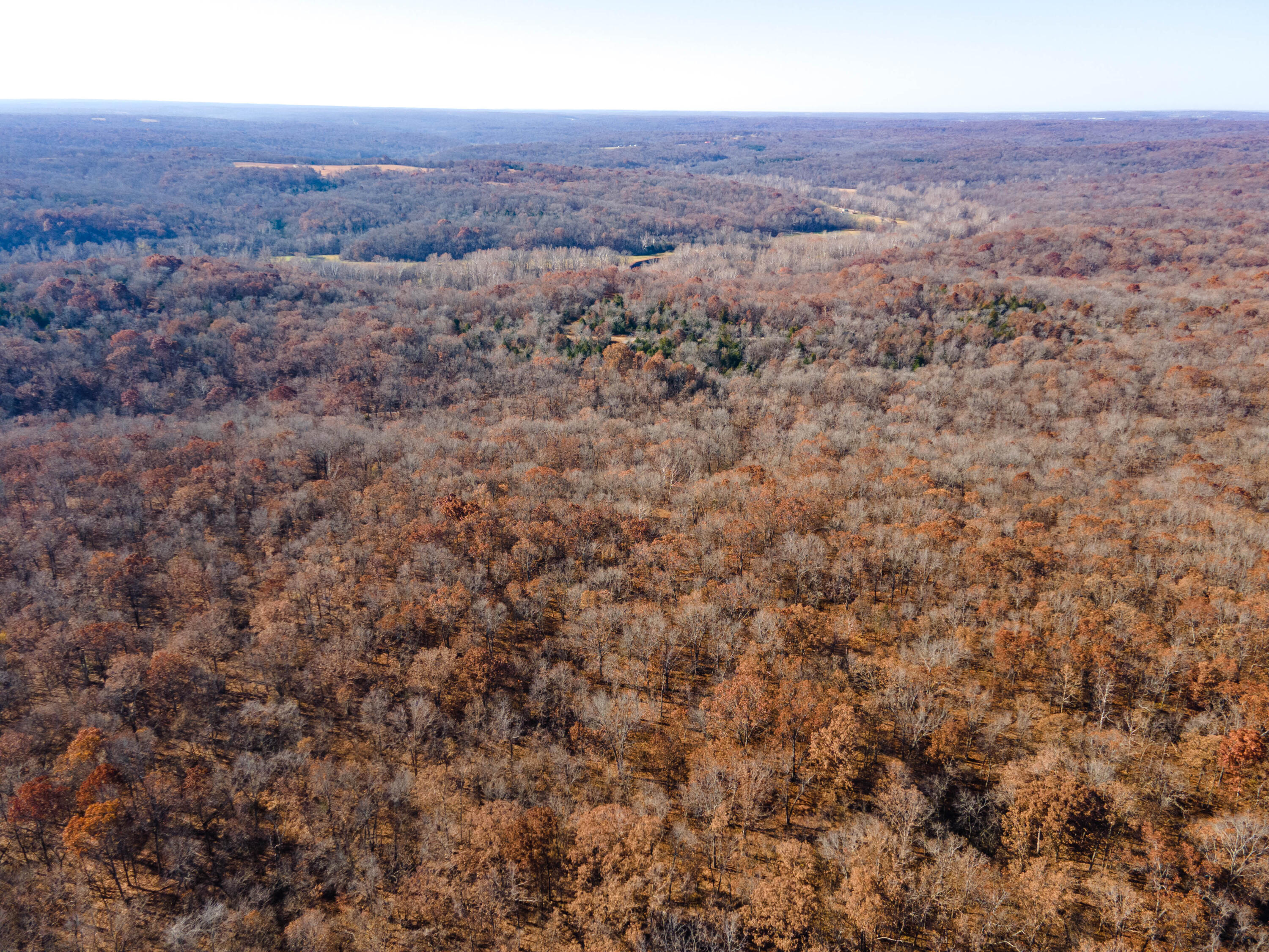 0000 Bradley Lane Property Photo 16