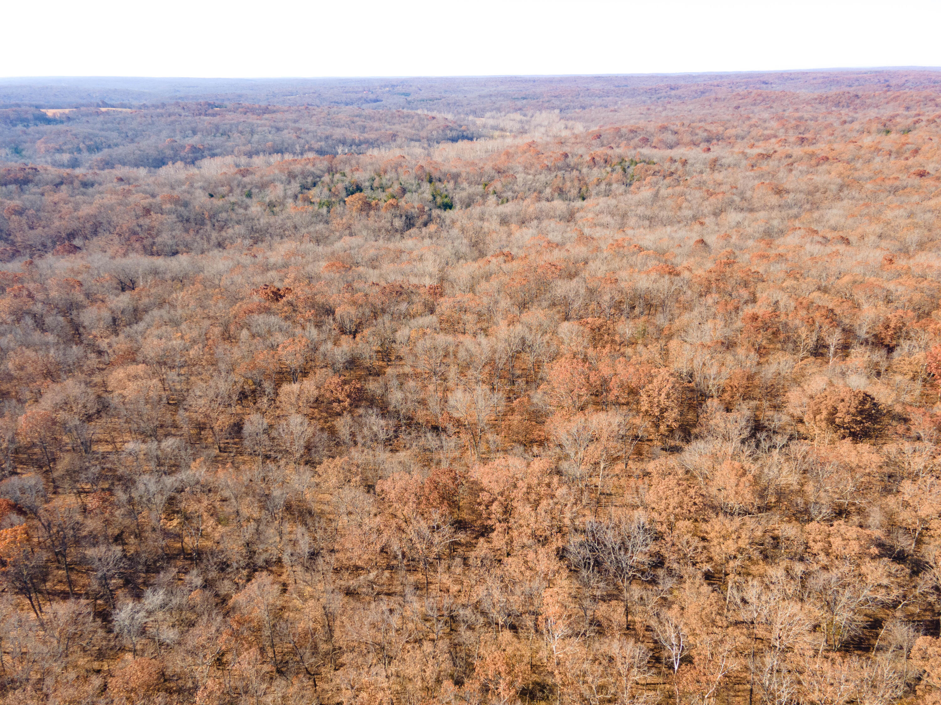 0000 Bradley Lane Property Photo 19