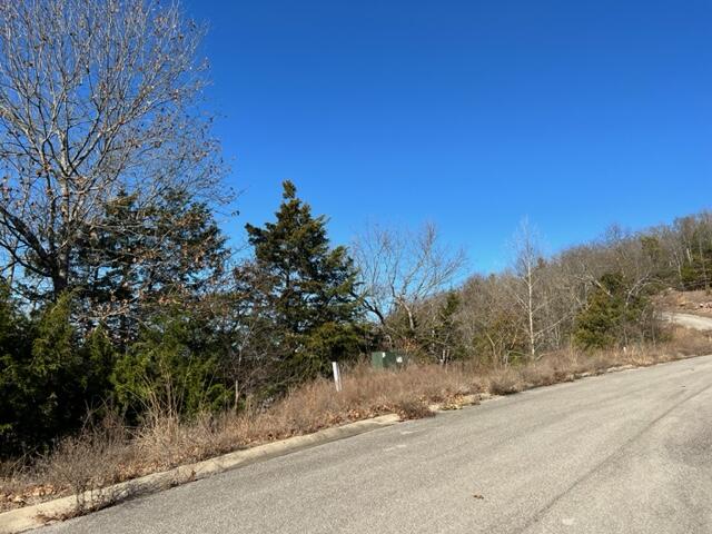 Lot 111 Emerald Isle Drive Property Photo 2