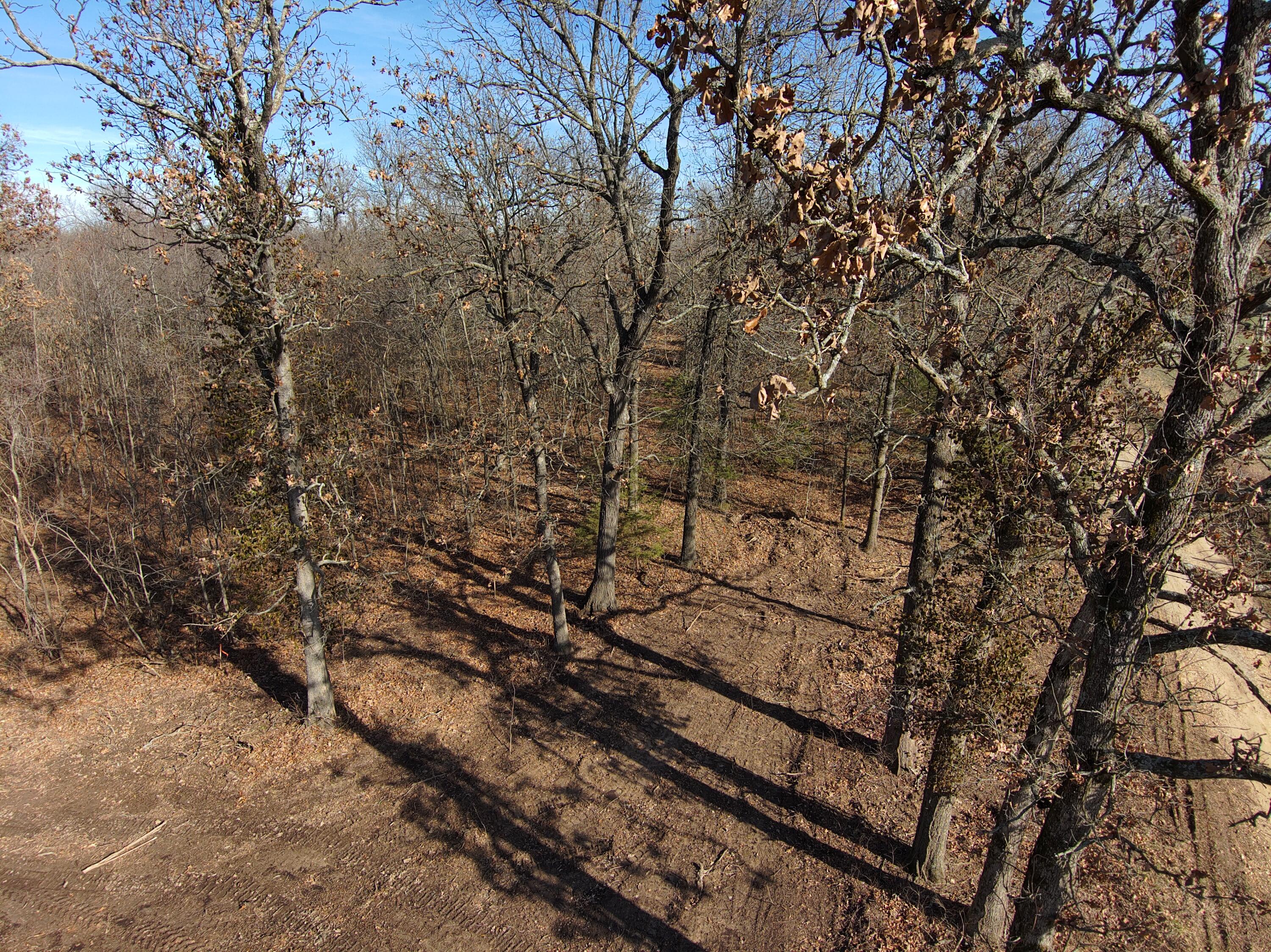 Lot 1 Summit Grove Estates Property Photo 5