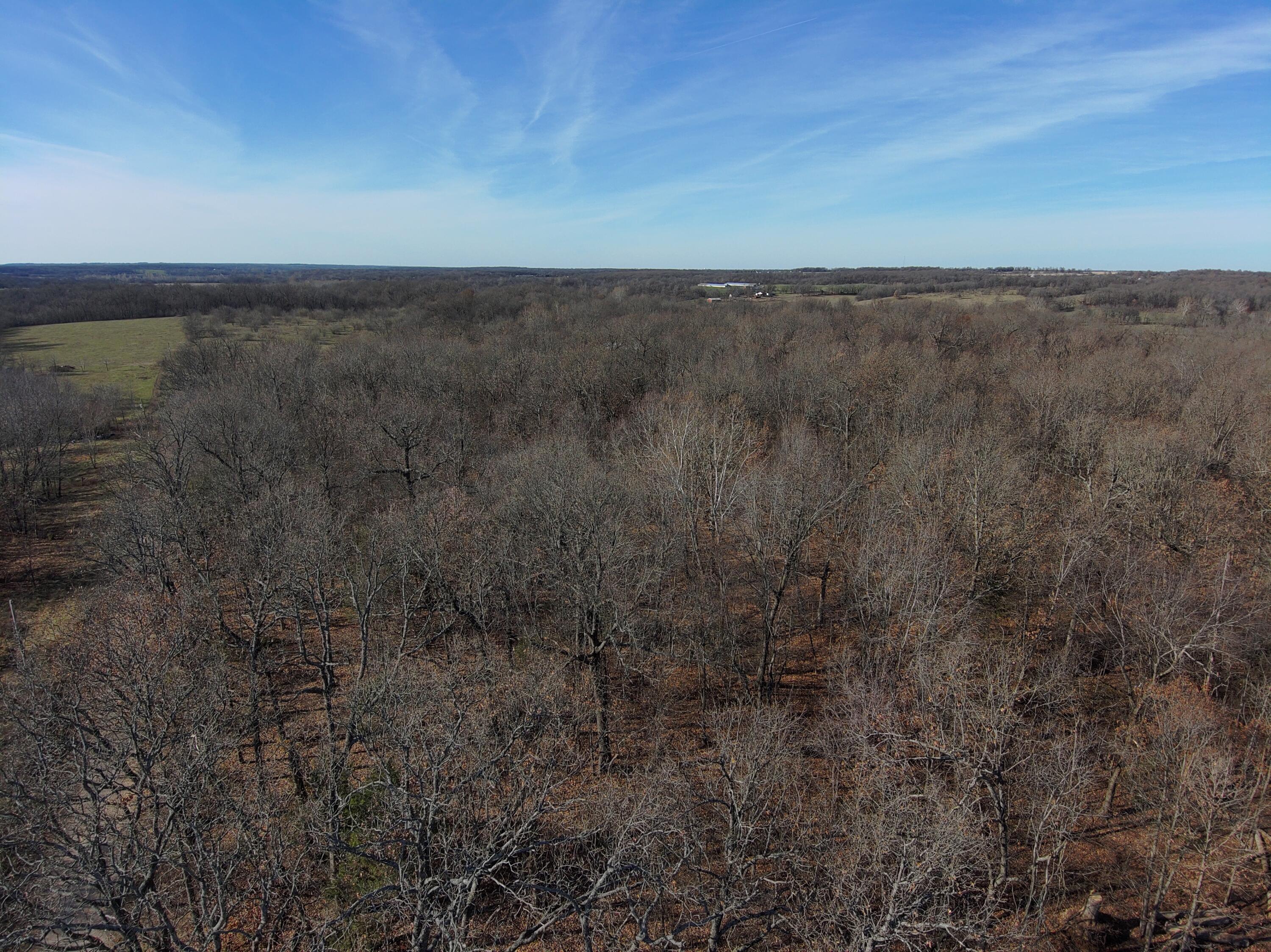 Lot 1 Summit Grove Estates Property Photo 10