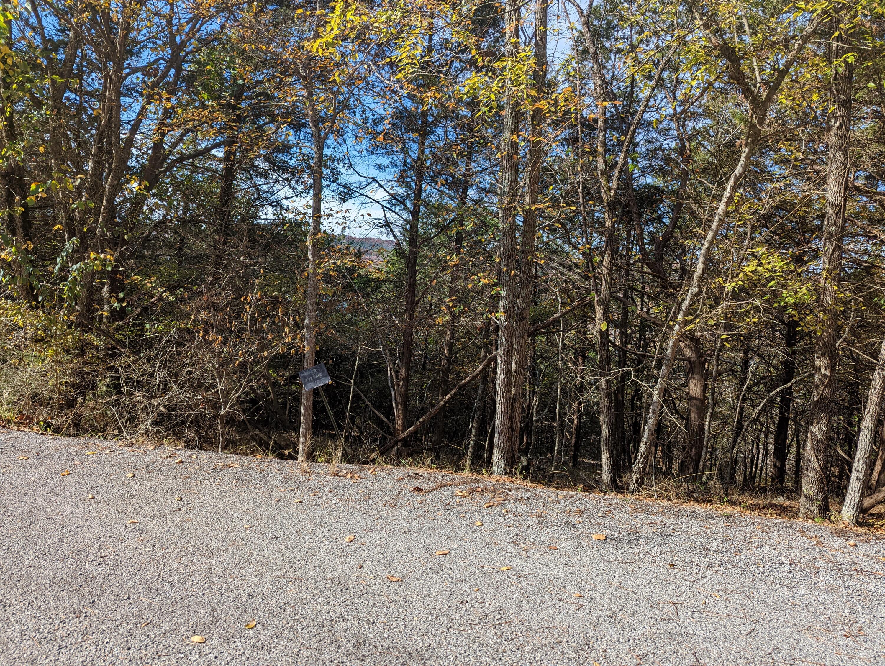 000 Cedar Bluff Drive Property Photo 3