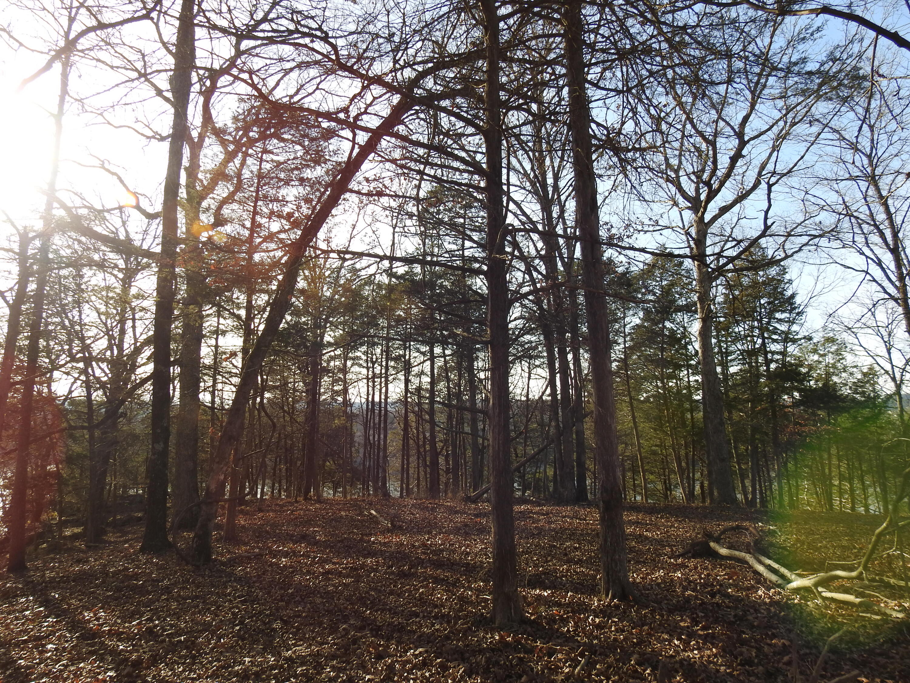Lot 12 Private Road 1190 Property Photo 4