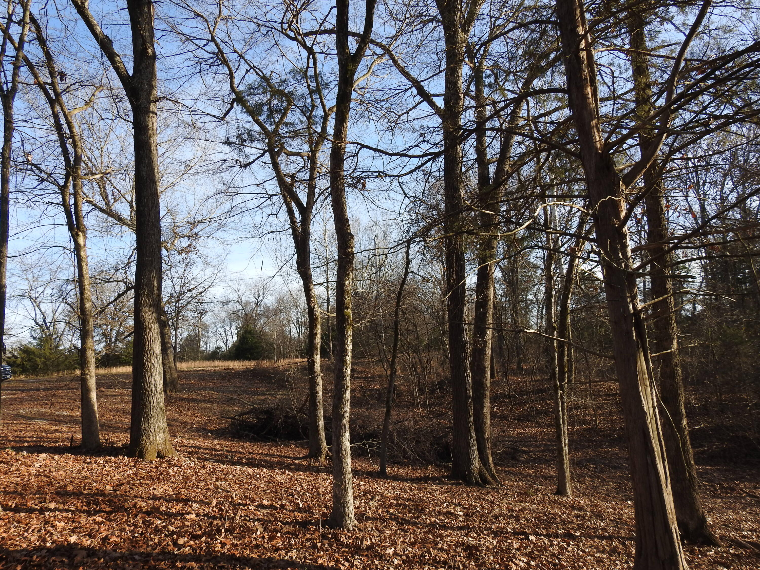 Lot 12 Private Road 1190 Property Photo 5