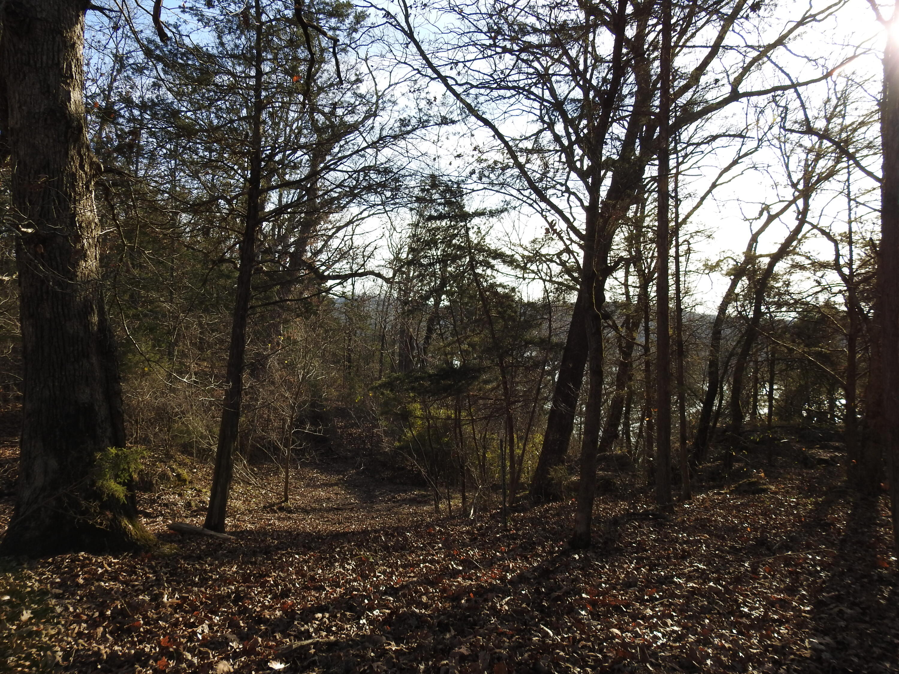Lot 12 Private Road 1190 Property Photo 6