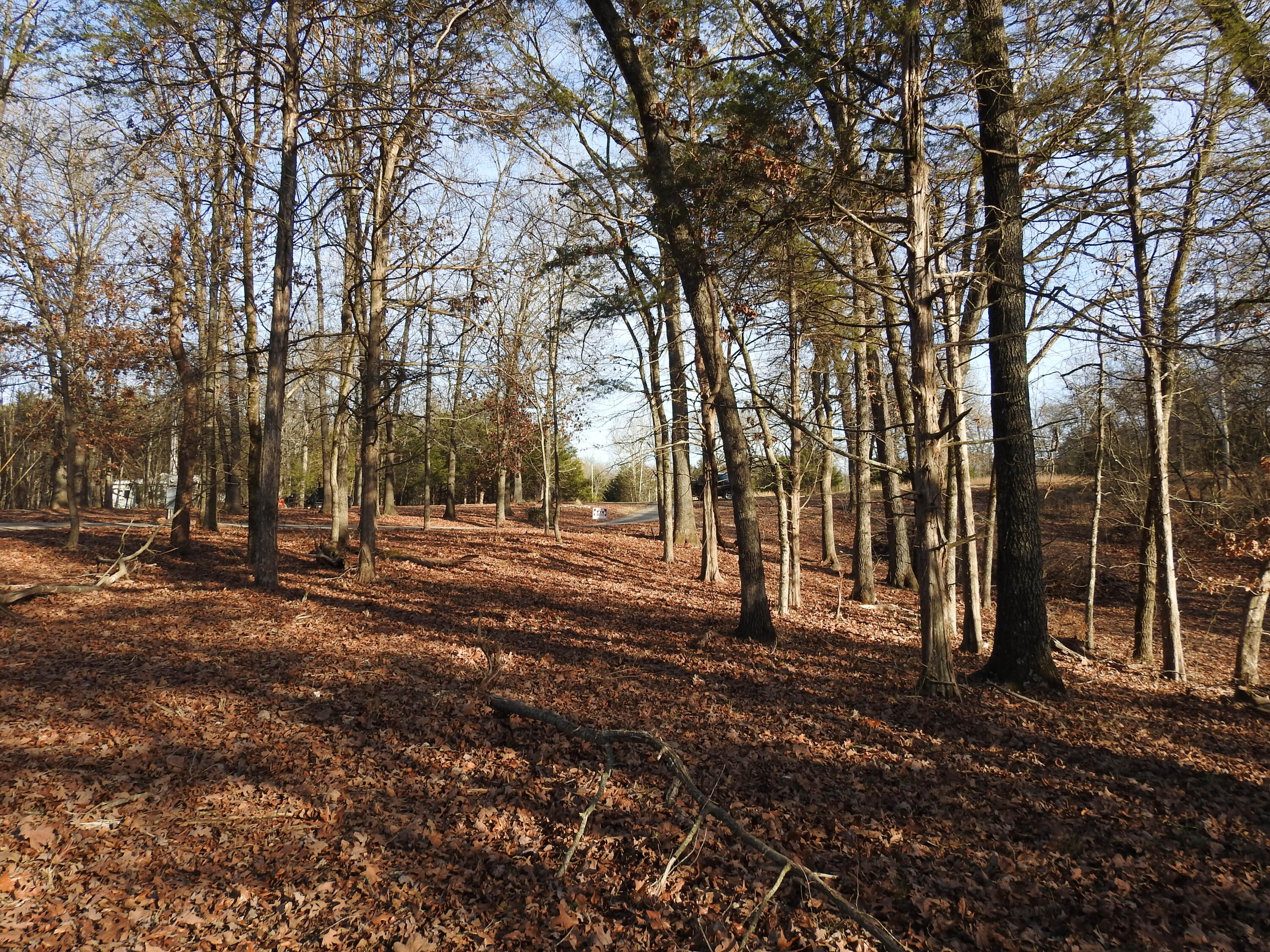 Lot 12 Private Road 1190 Property Photo 7