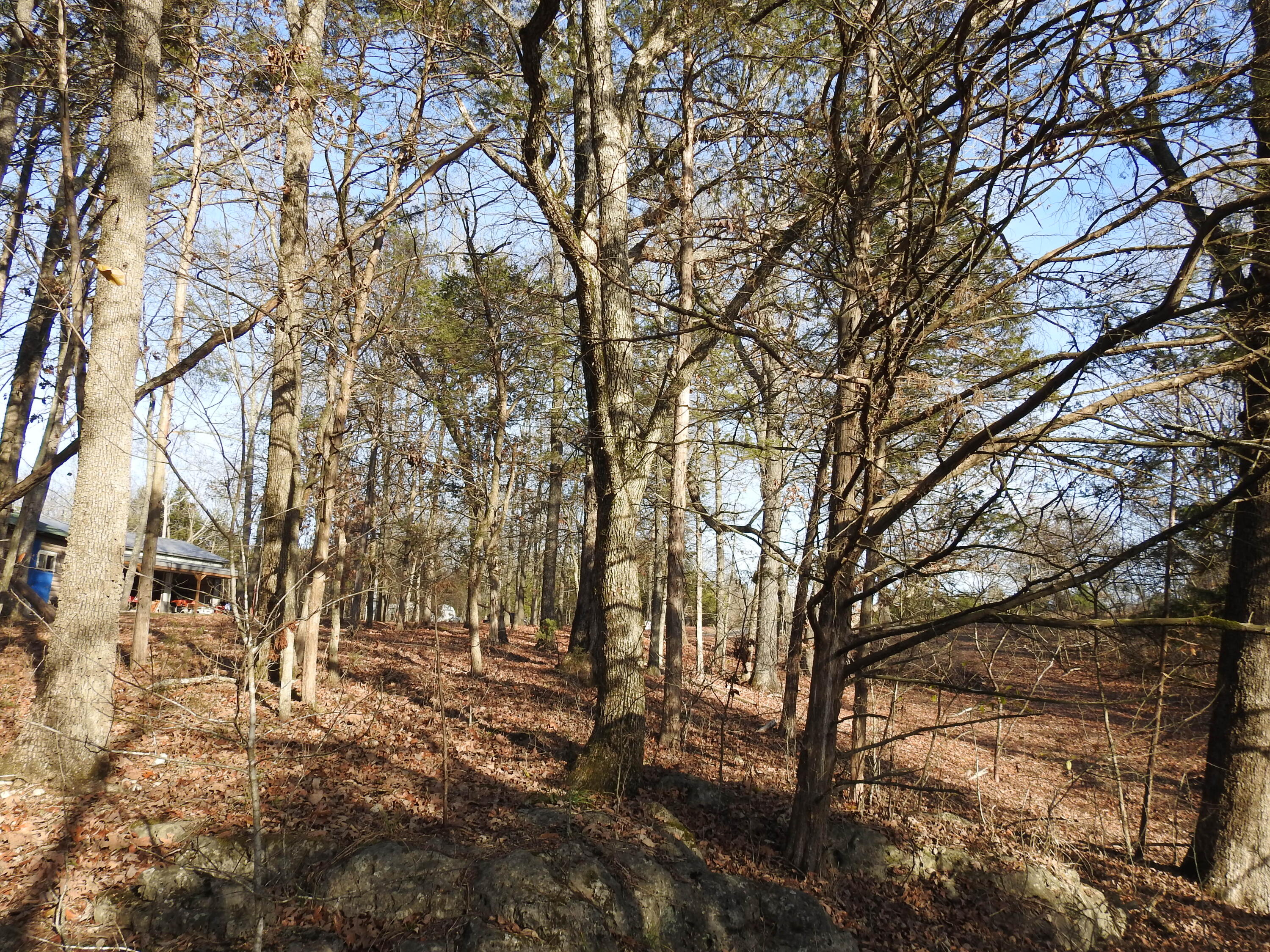 Lot 12 Private Road 1190 Property Photo 8
