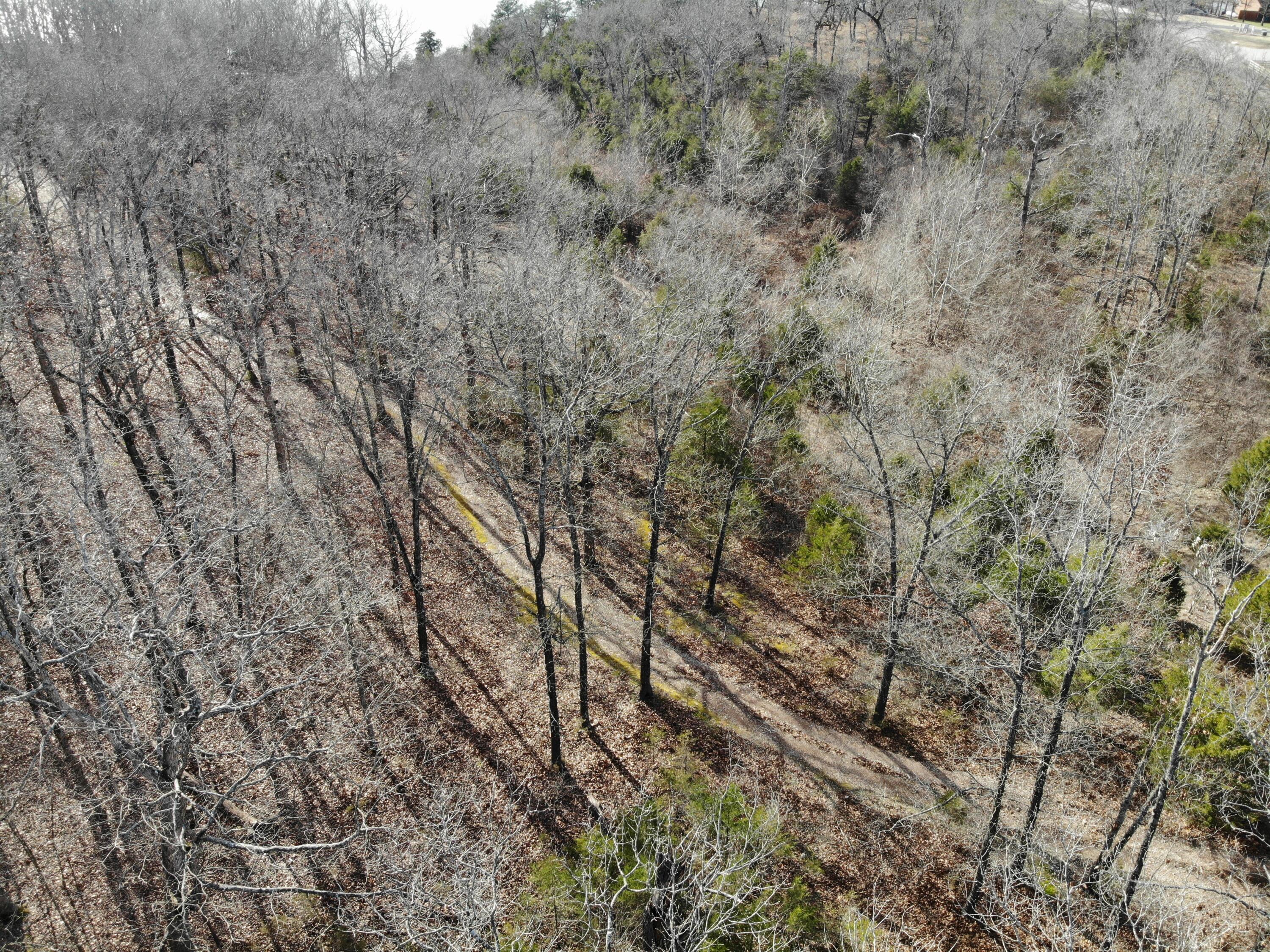 Lot 12 Private Road 1190 Property Photo 13