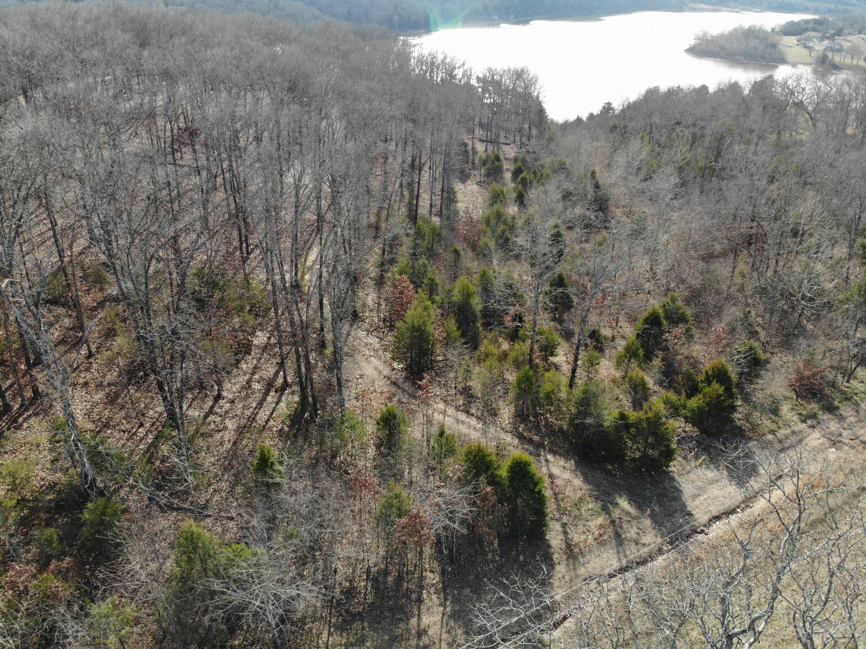 Lot 12 Private Road 1190 Property Photo 14