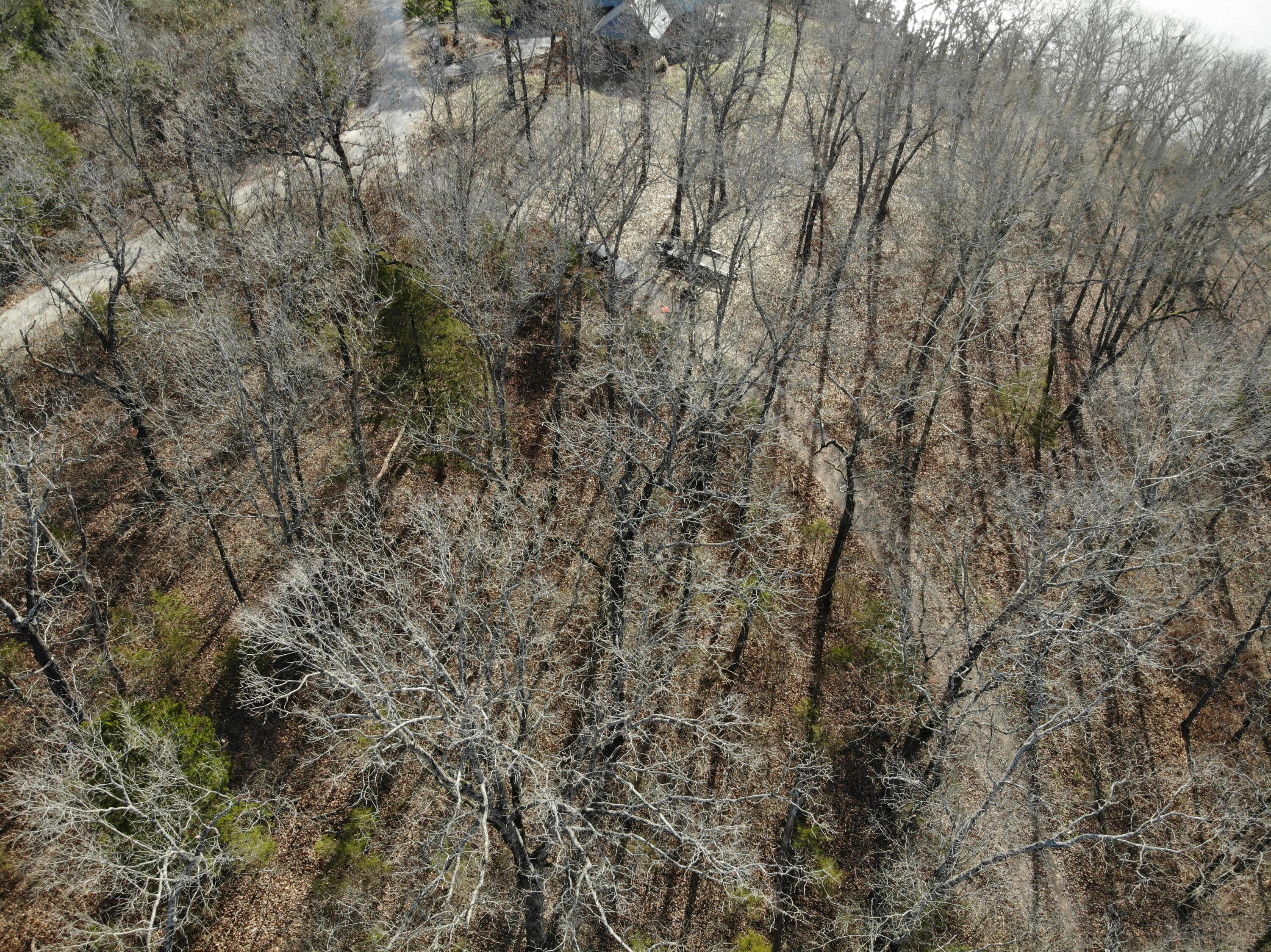 Lot 12 Private Road 1190 Property Photo 16