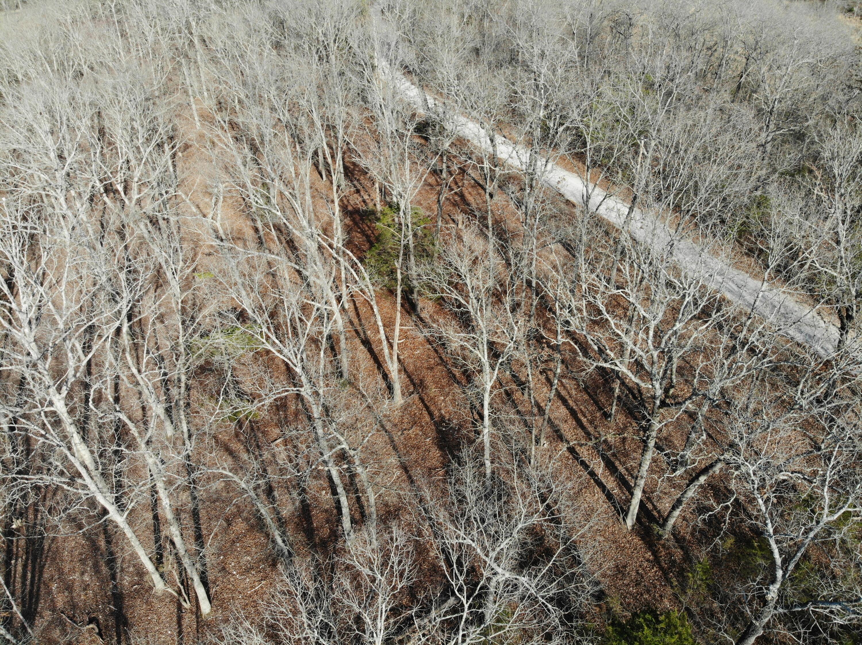 Lot 12 Private Road 1190 Property Photo 17