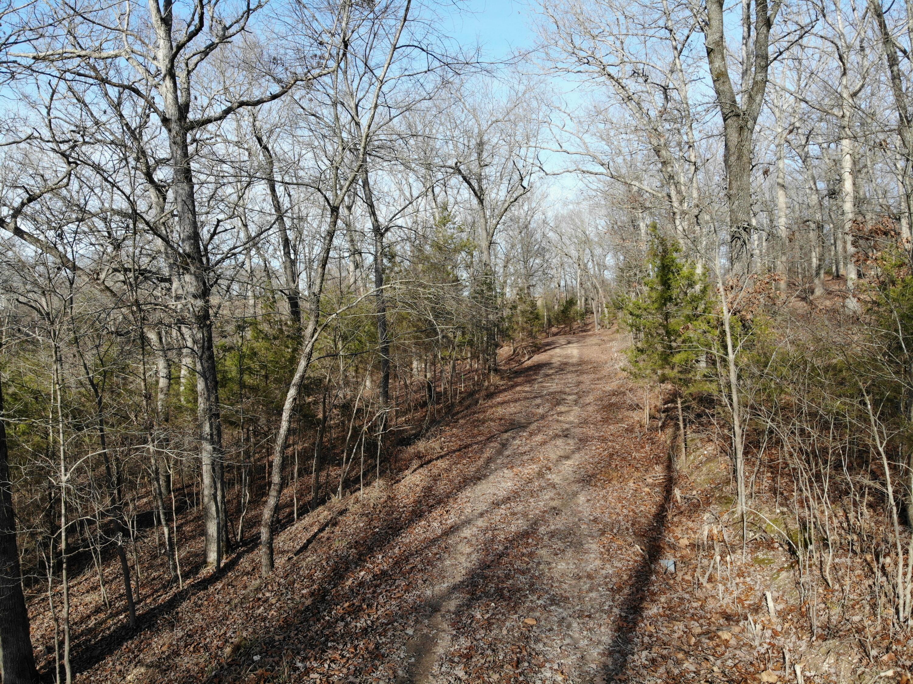 Lot 12 Private Road 1190 Property Photo 20