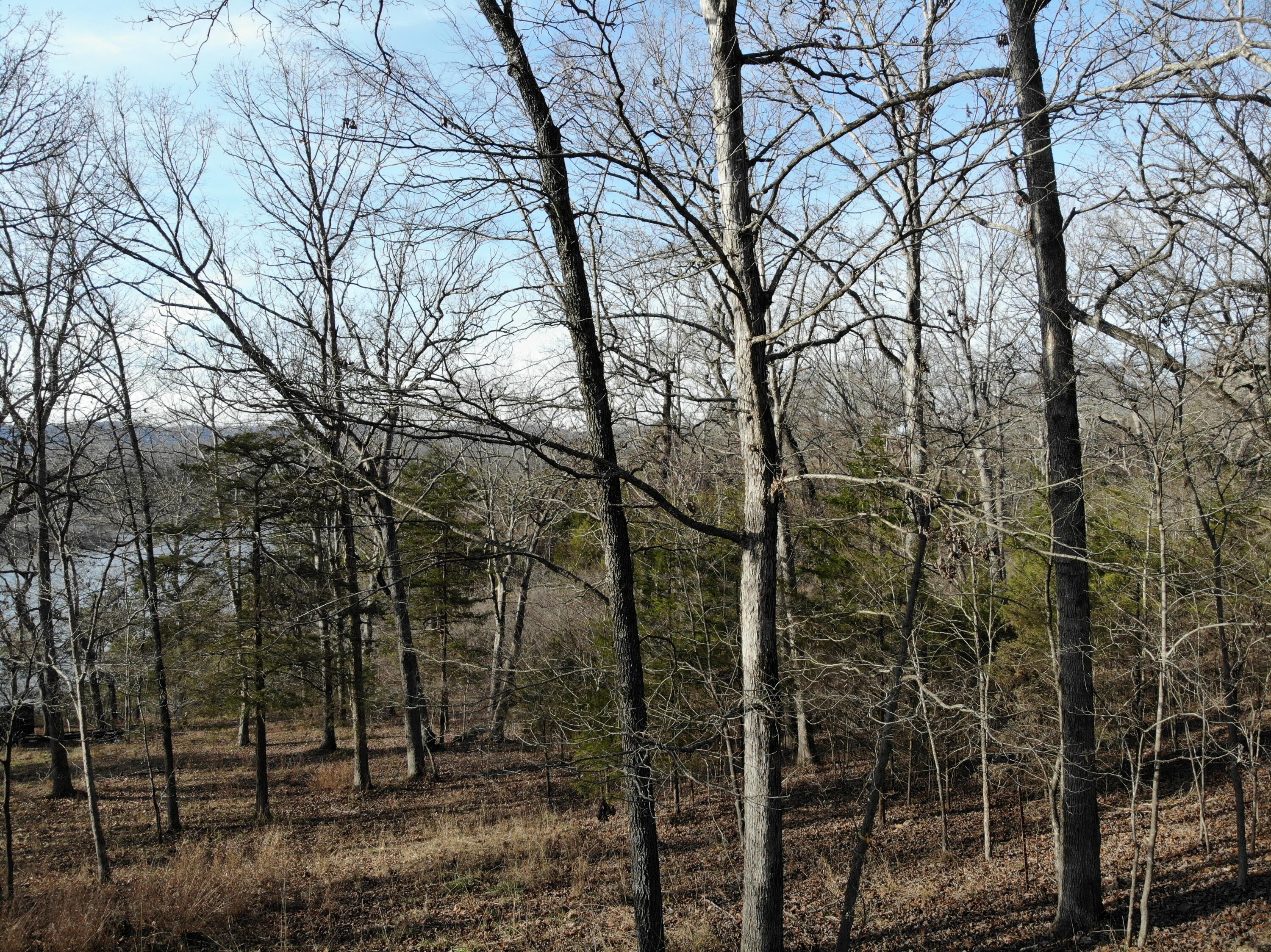 Lot 12 Private Road 1190 Property Photo 21