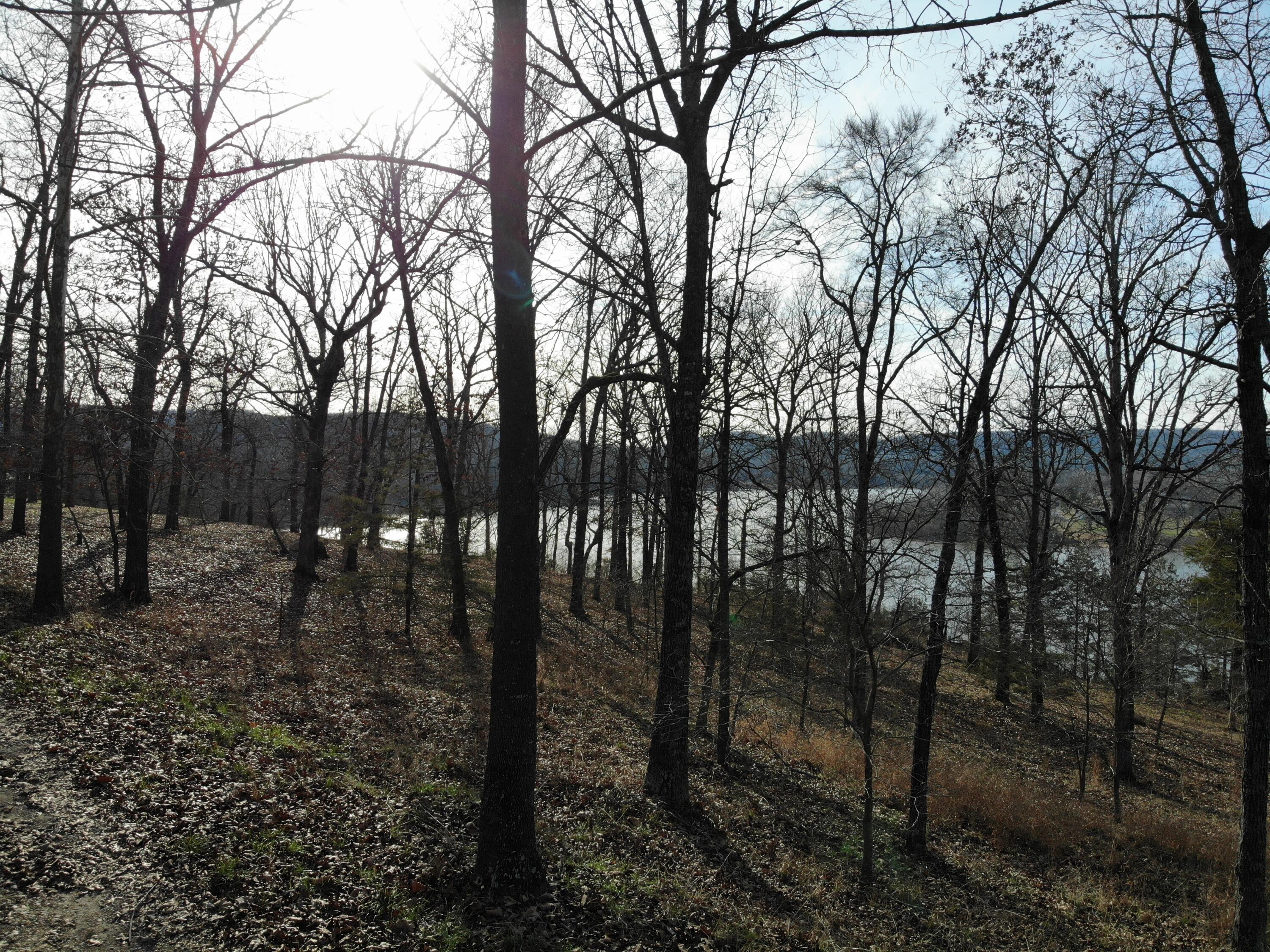 Lot 12 Private Road 1190 Property Photo 22
