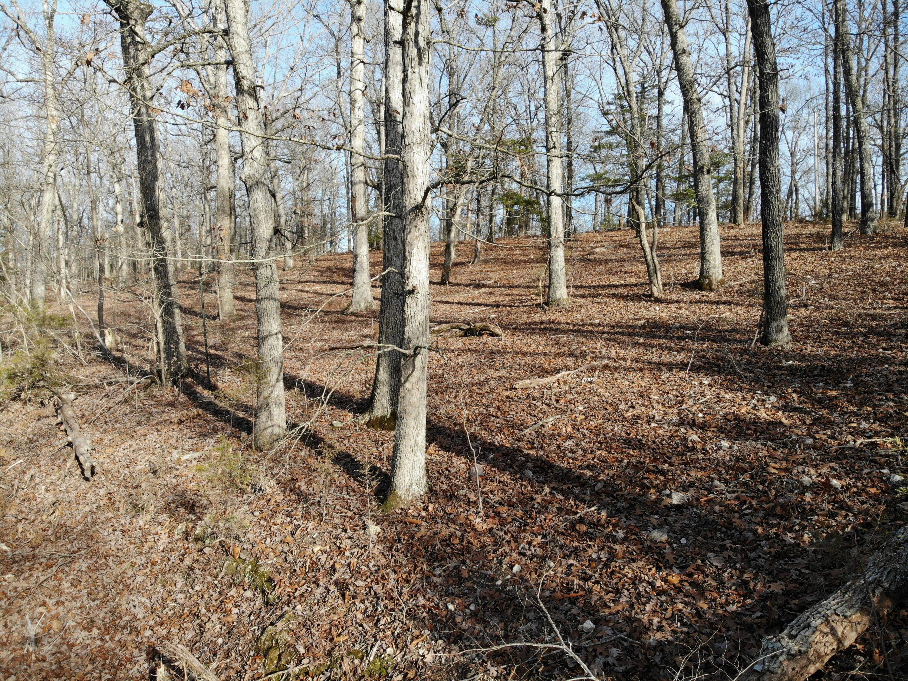 Lot 12 Private Road 1190 Property Photo 24