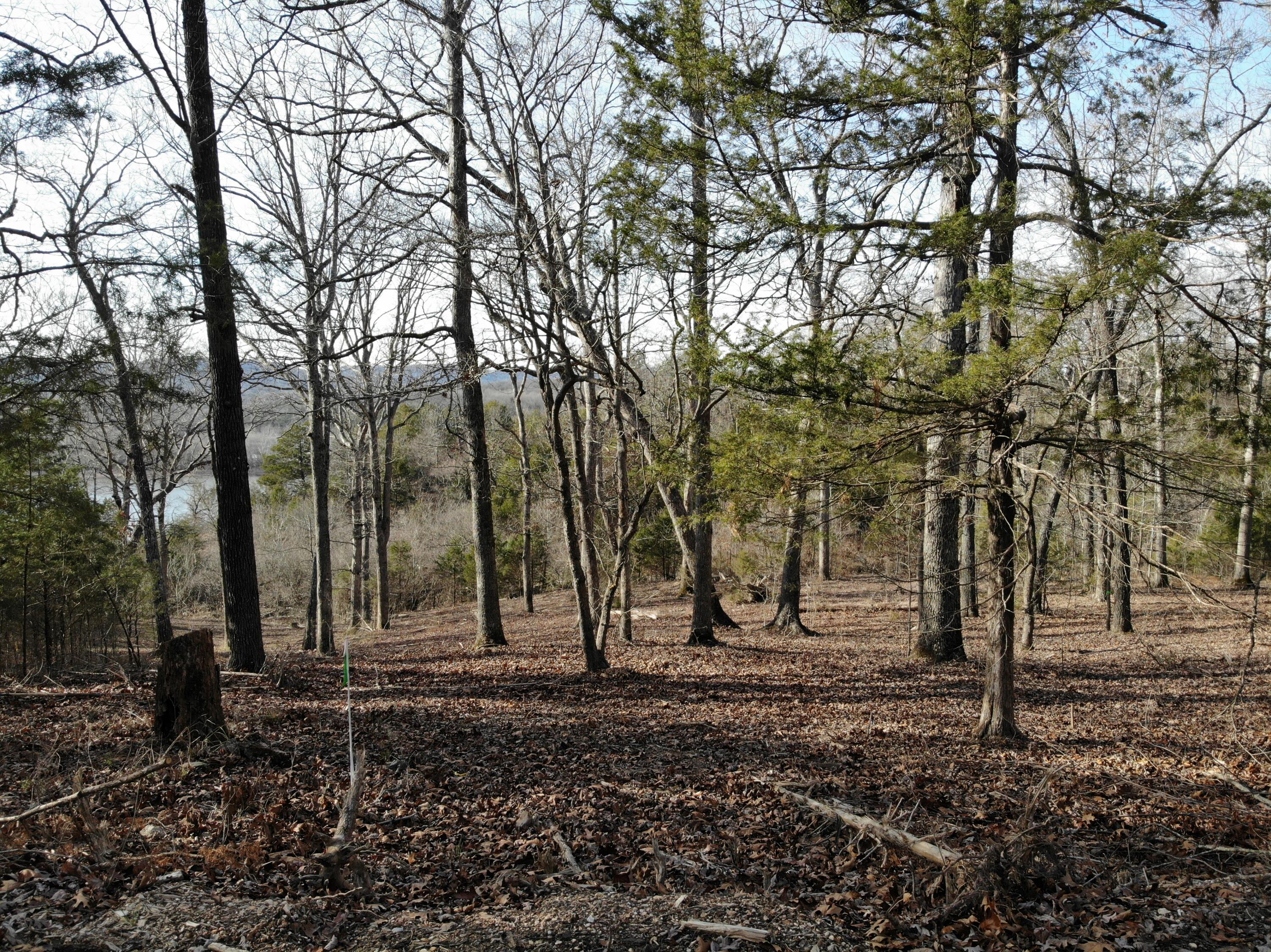 Lot 12 Private Road 1190 Property Photo 26
