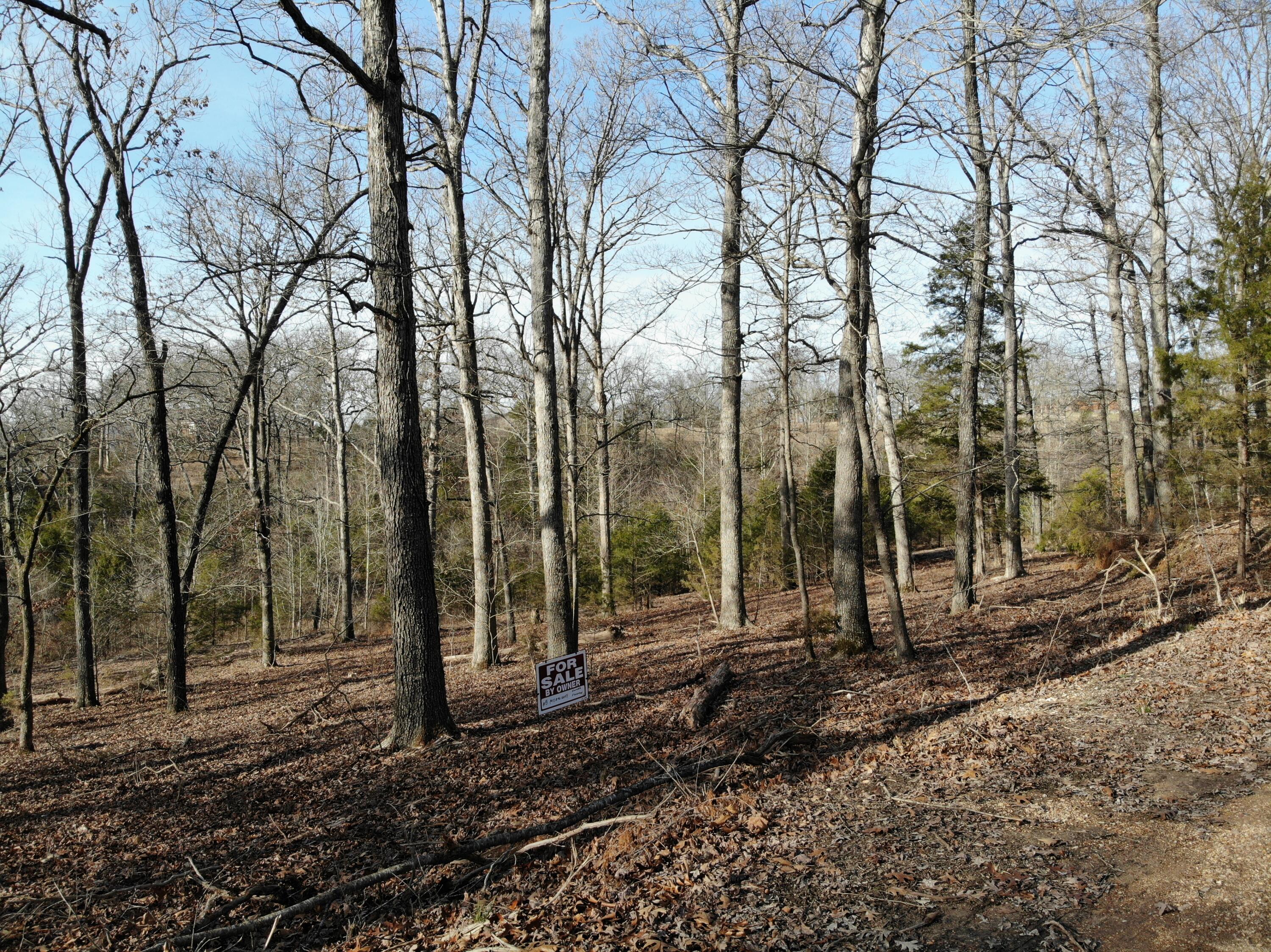 Lot 12 Private Road 1190 Property Photo 27