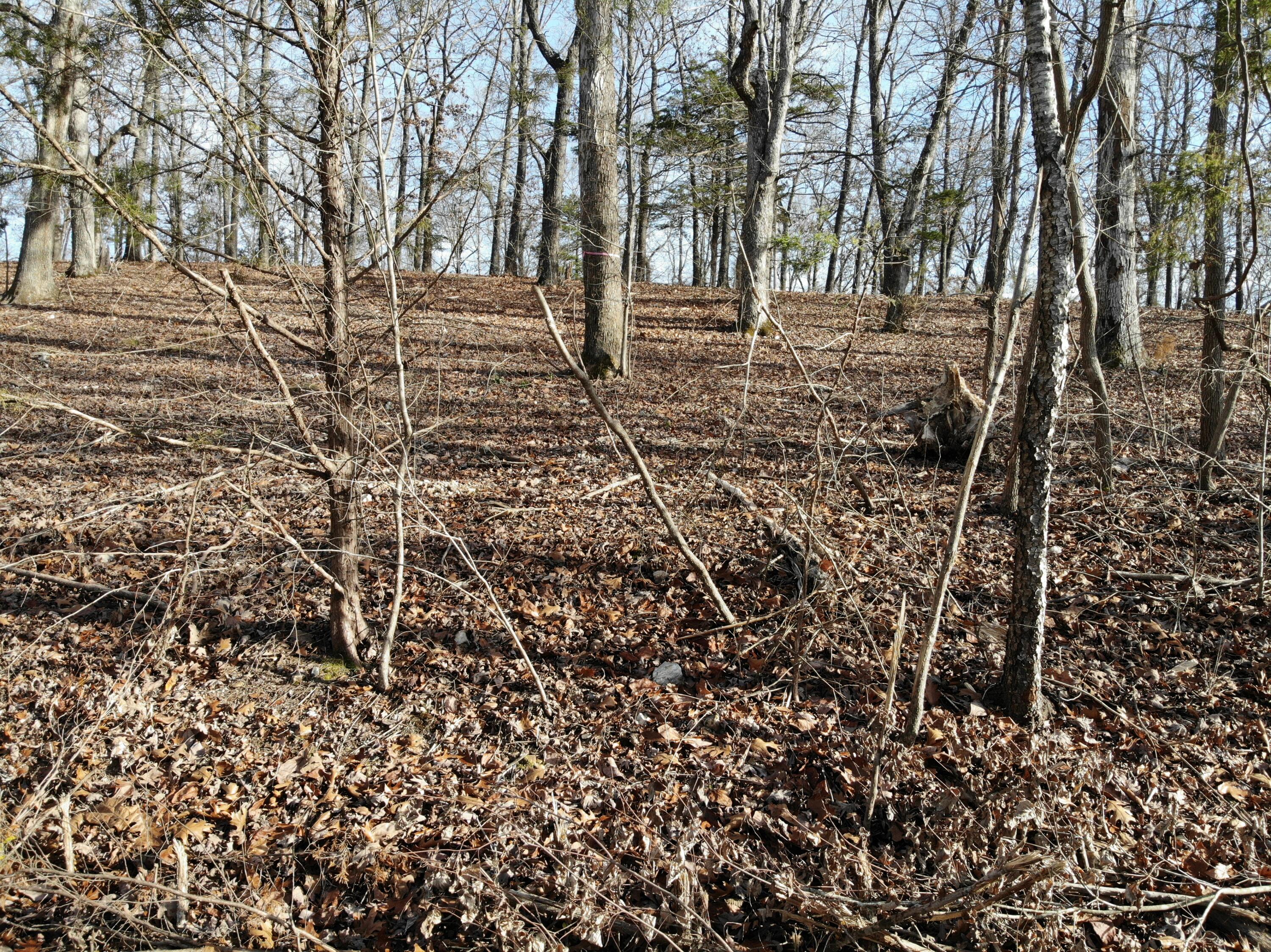 Lot 12 Private Road 1190 Property Photo 28
