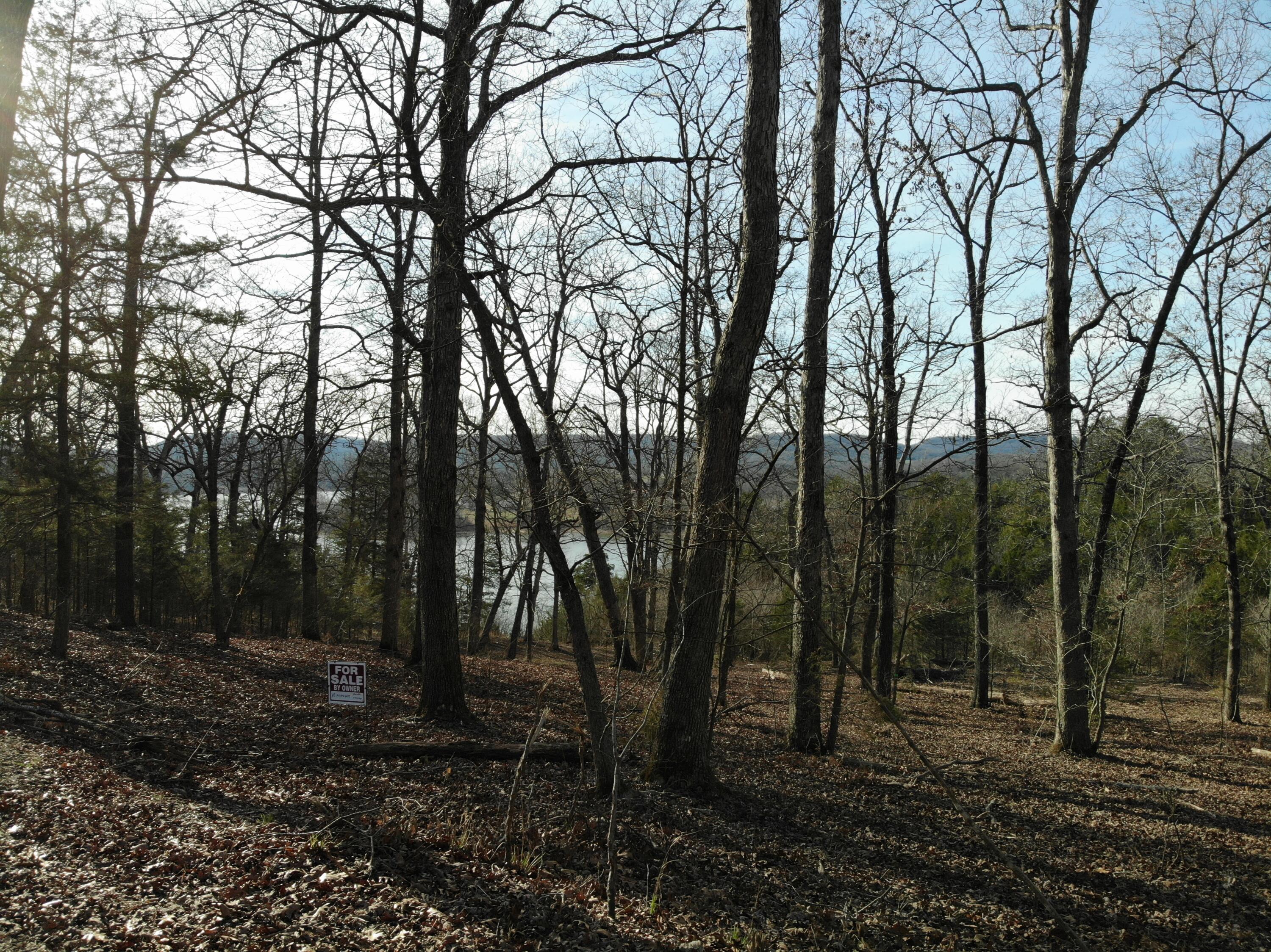 Lot 12 Private Road 1190 Property Photo 29