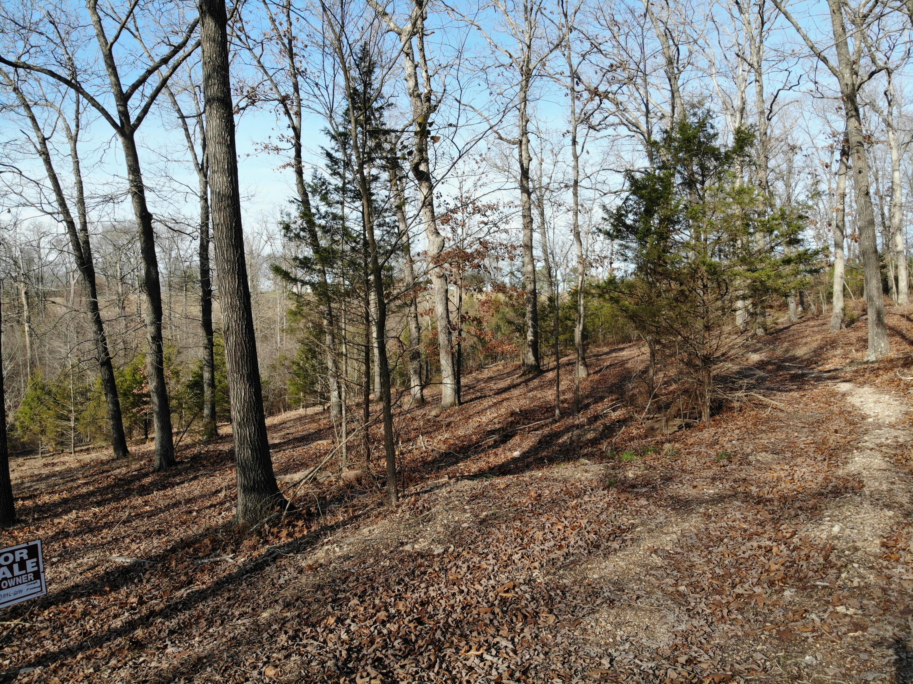 Lot 12 Private Road 1190 Property Photo 30