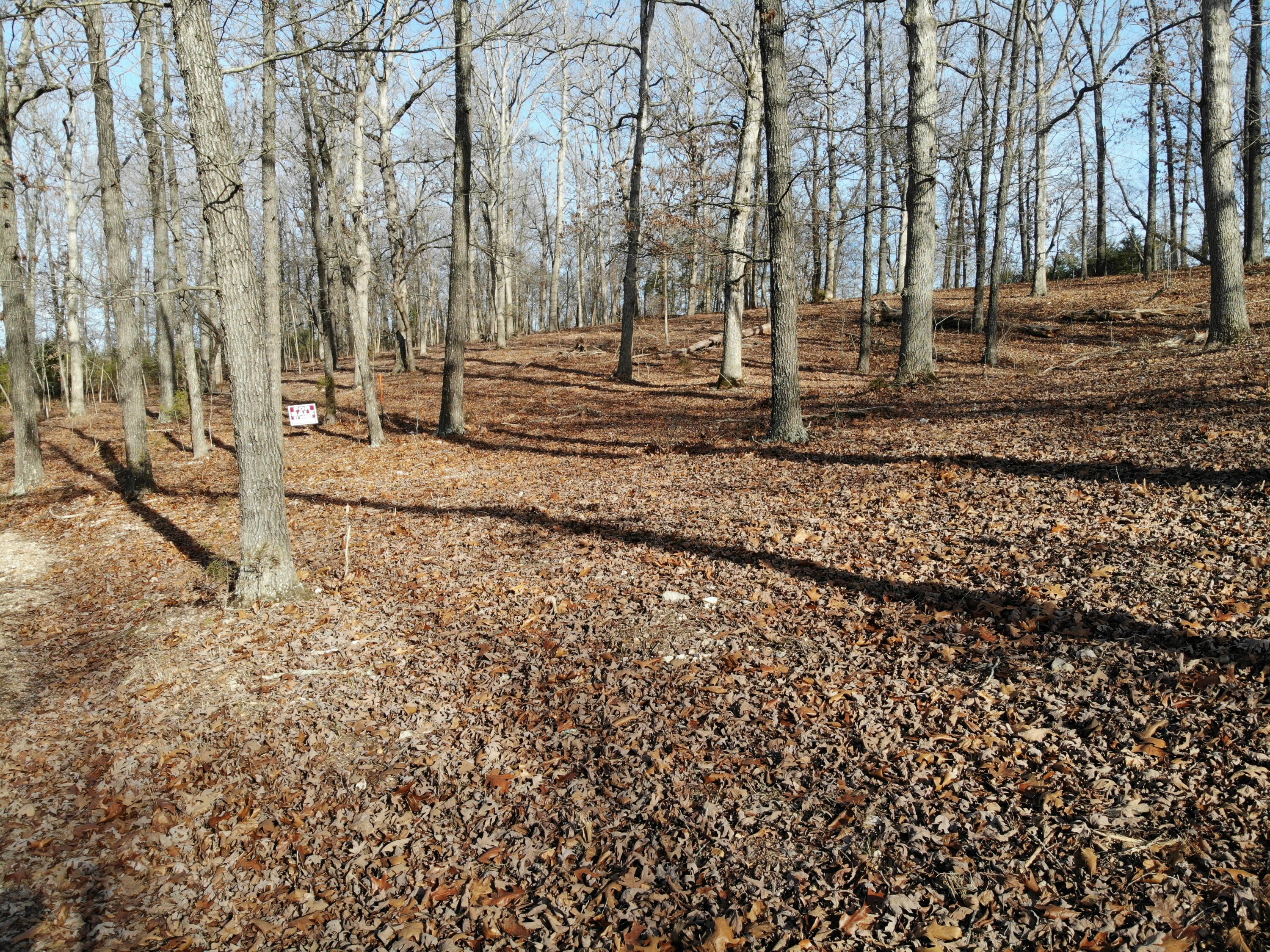 Lot 12 Private Road 1190 Property Photo 31