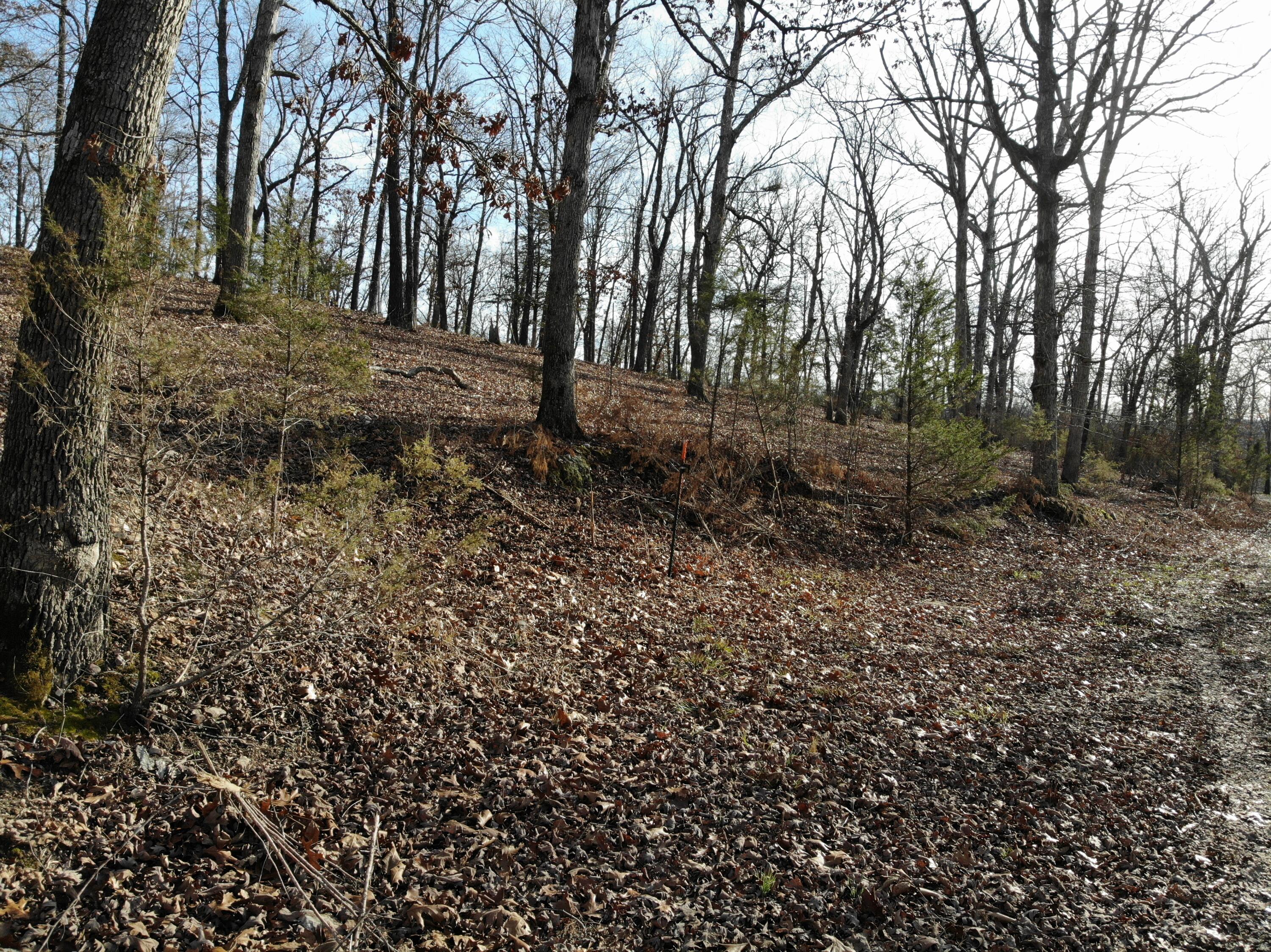 Lot 12 Private Road 1190 Property Photo 32
