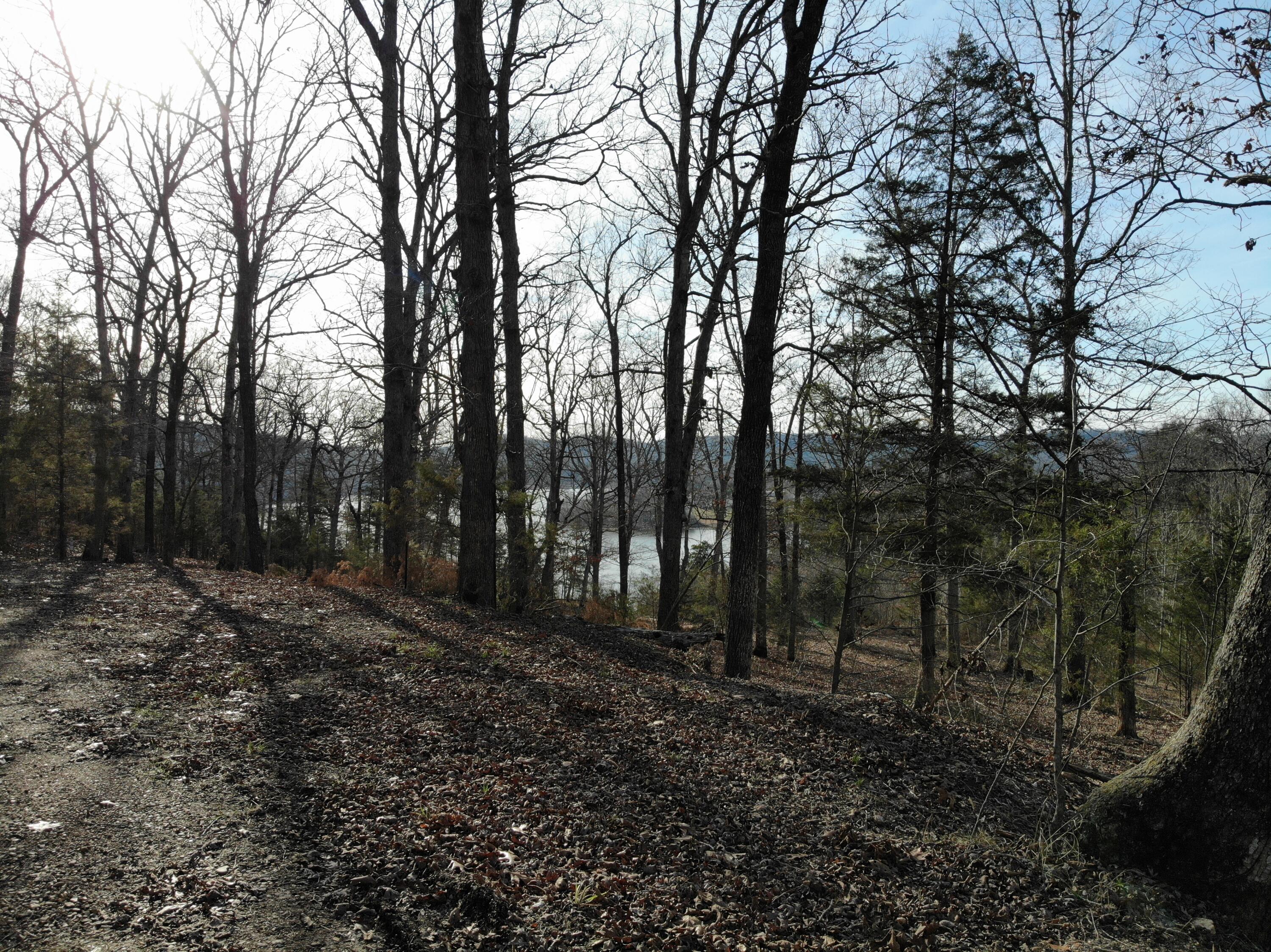 Lot 12 Private Road 1190 Property Photo 33
