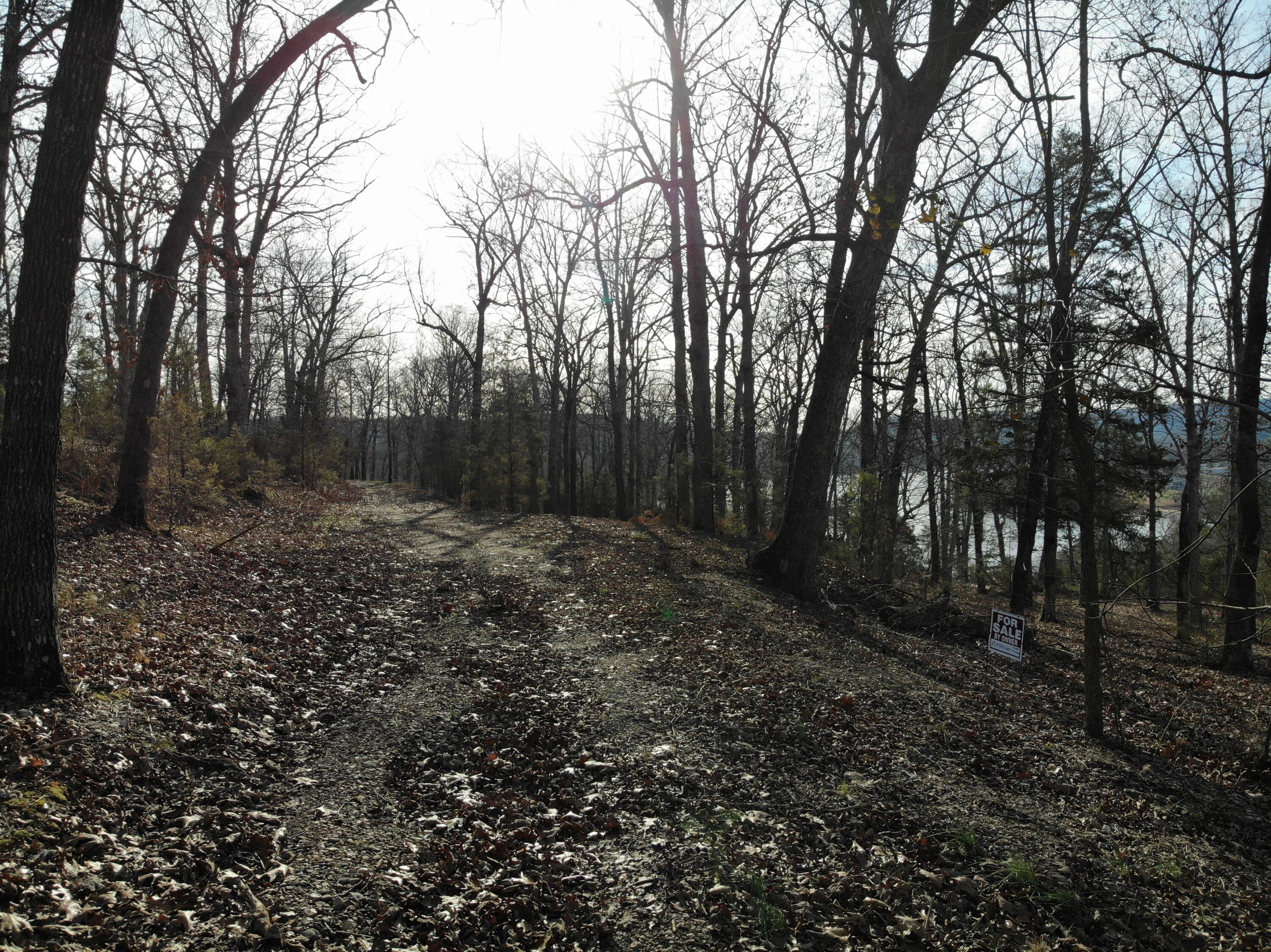 Lot 12 Private Road 1190 Property Photo 34