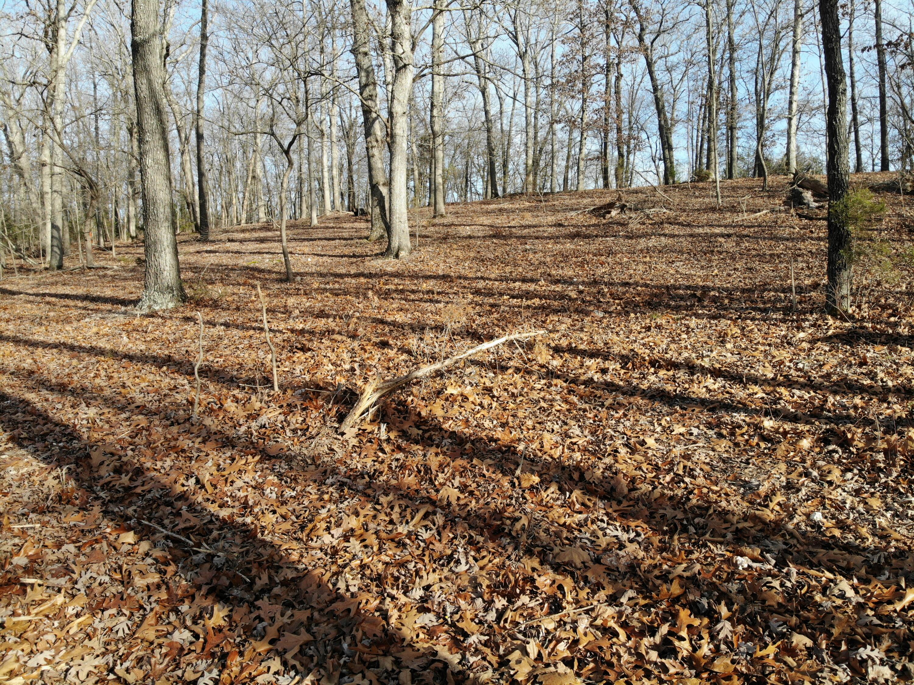 Lot 12 Private Road 1190 Property Photo 35