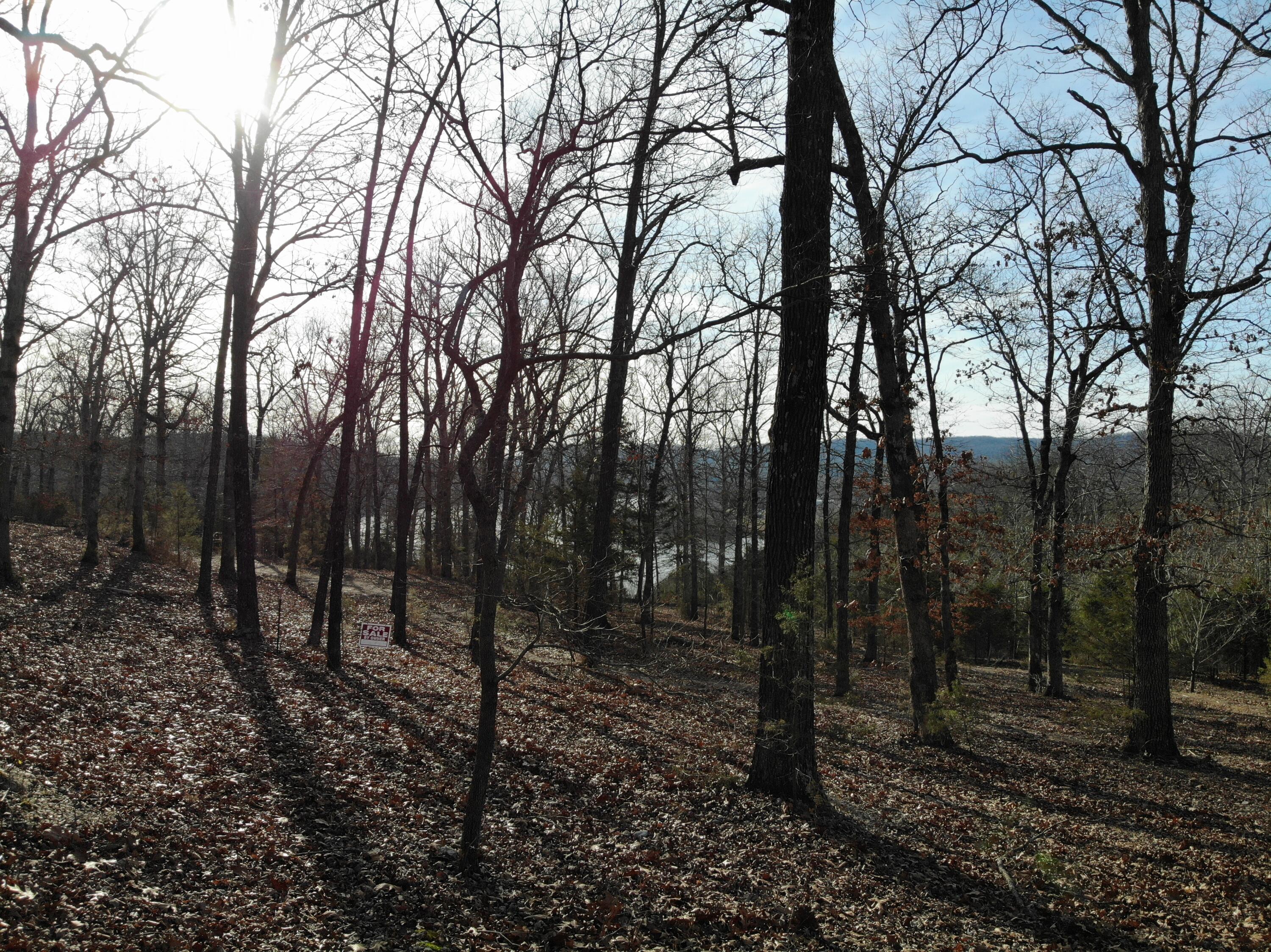 Lot 12 Private Road 1190 Property Photo 36