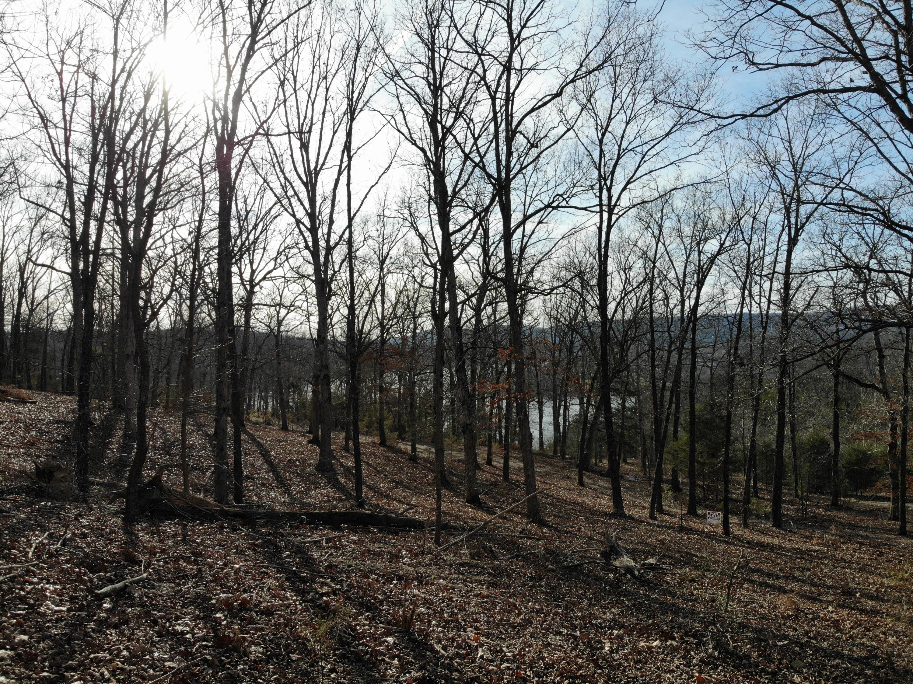 Lot 12 Private Road 1190 Property Photo 37