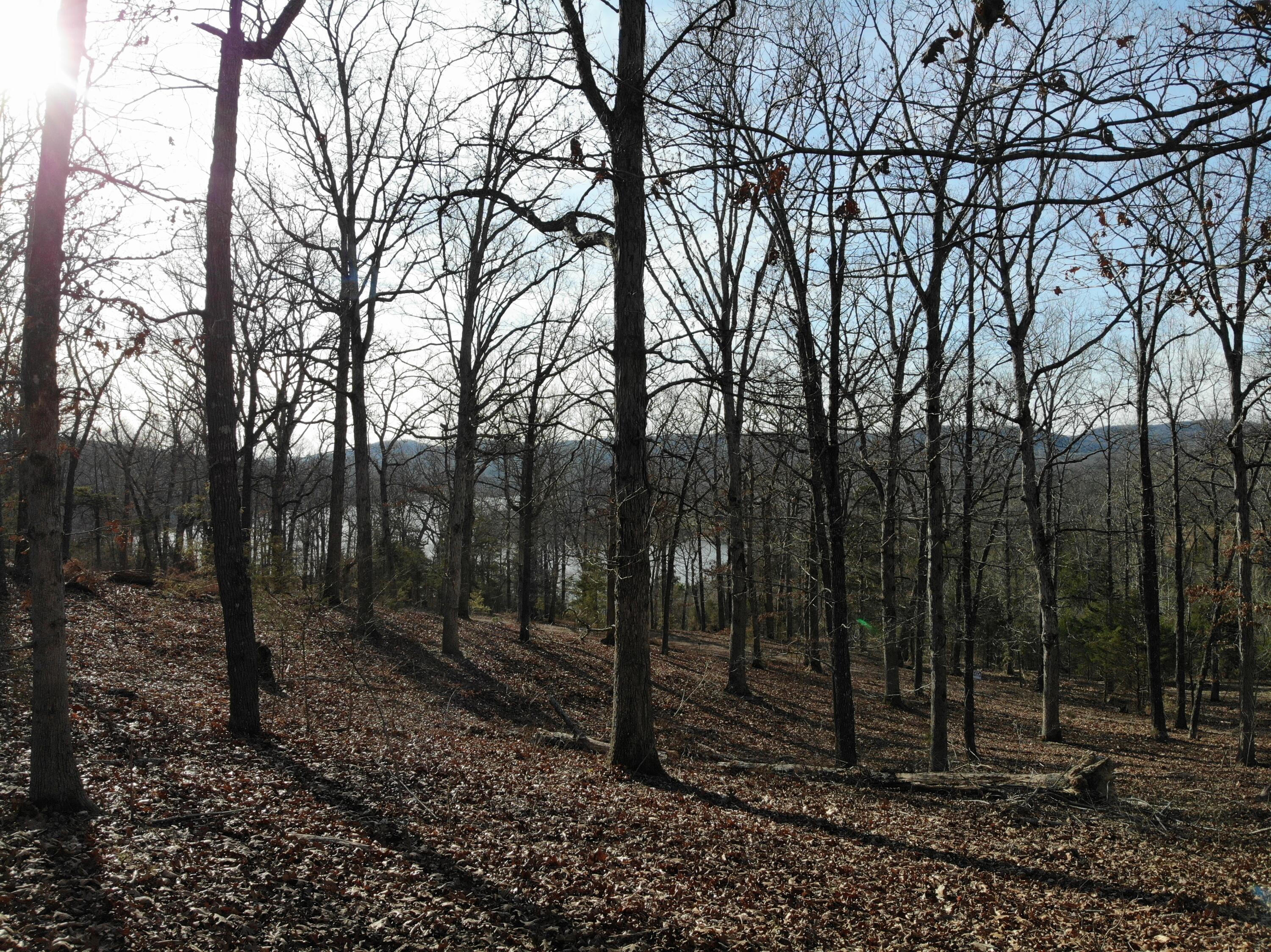 Lot 12 Private Road 1190 Property Photo 38