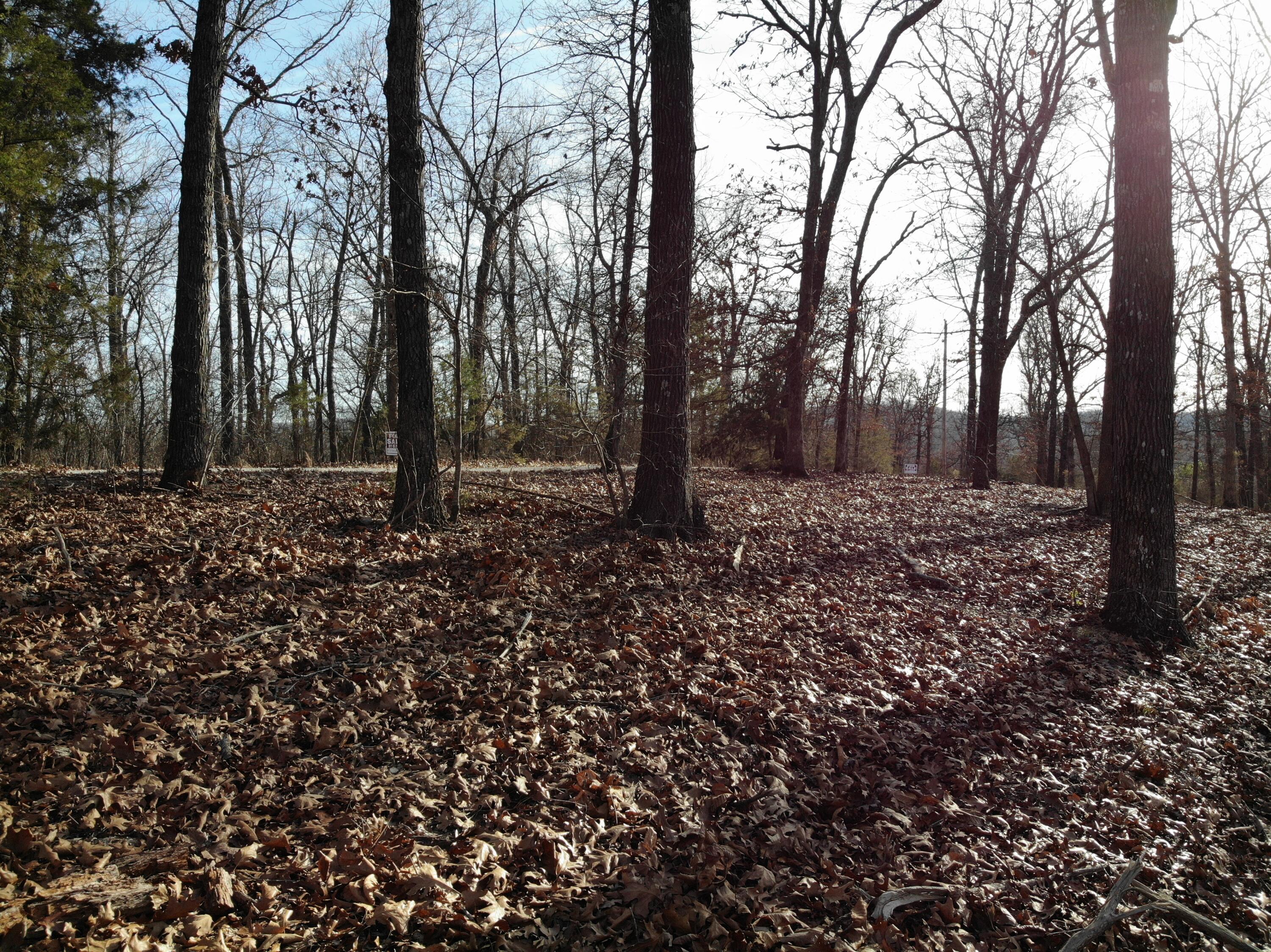 Lot 12 Private Road 1190 Property Photo 39