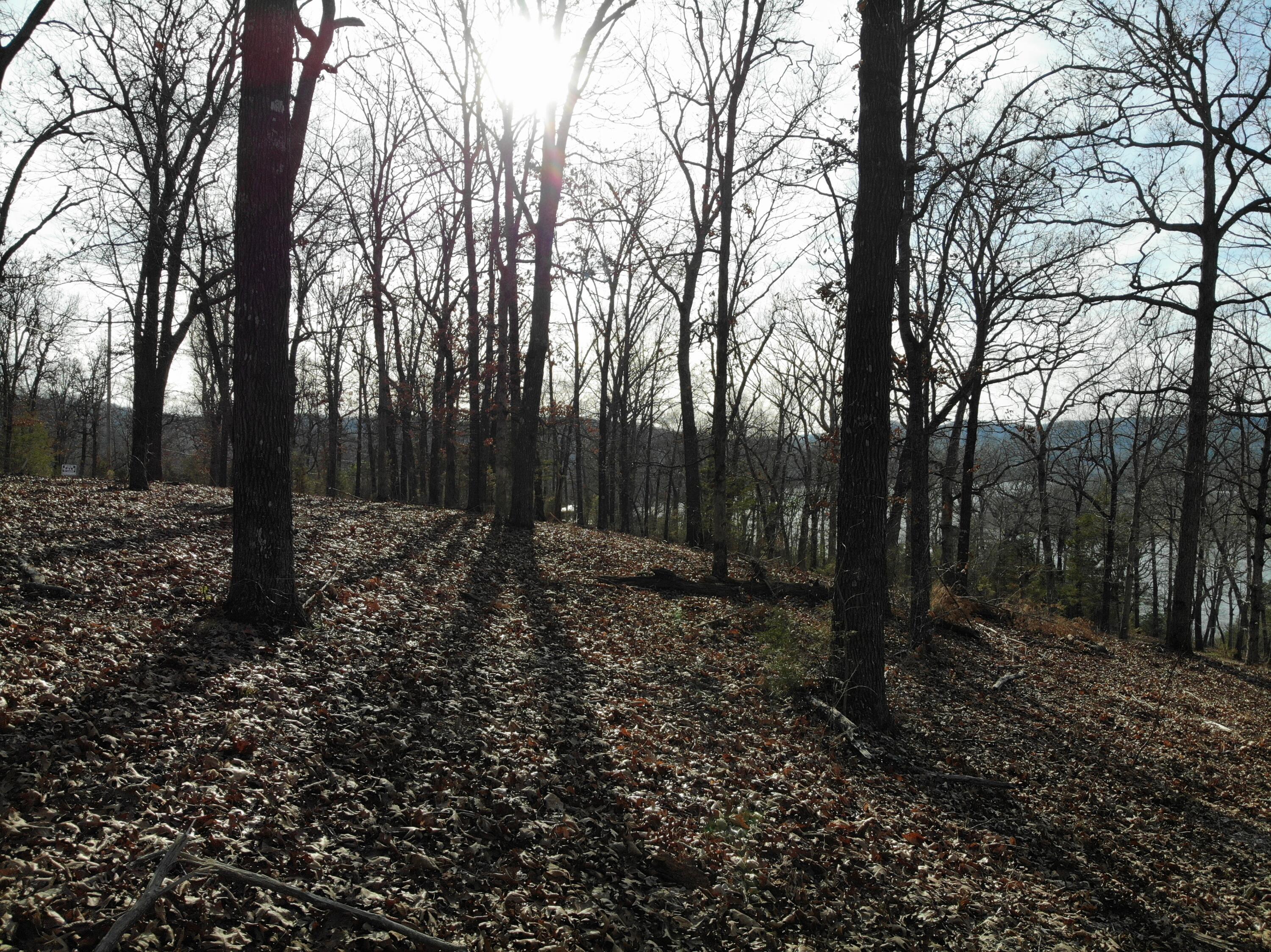 Lot 12 Private Road 1190 Property Photo 40