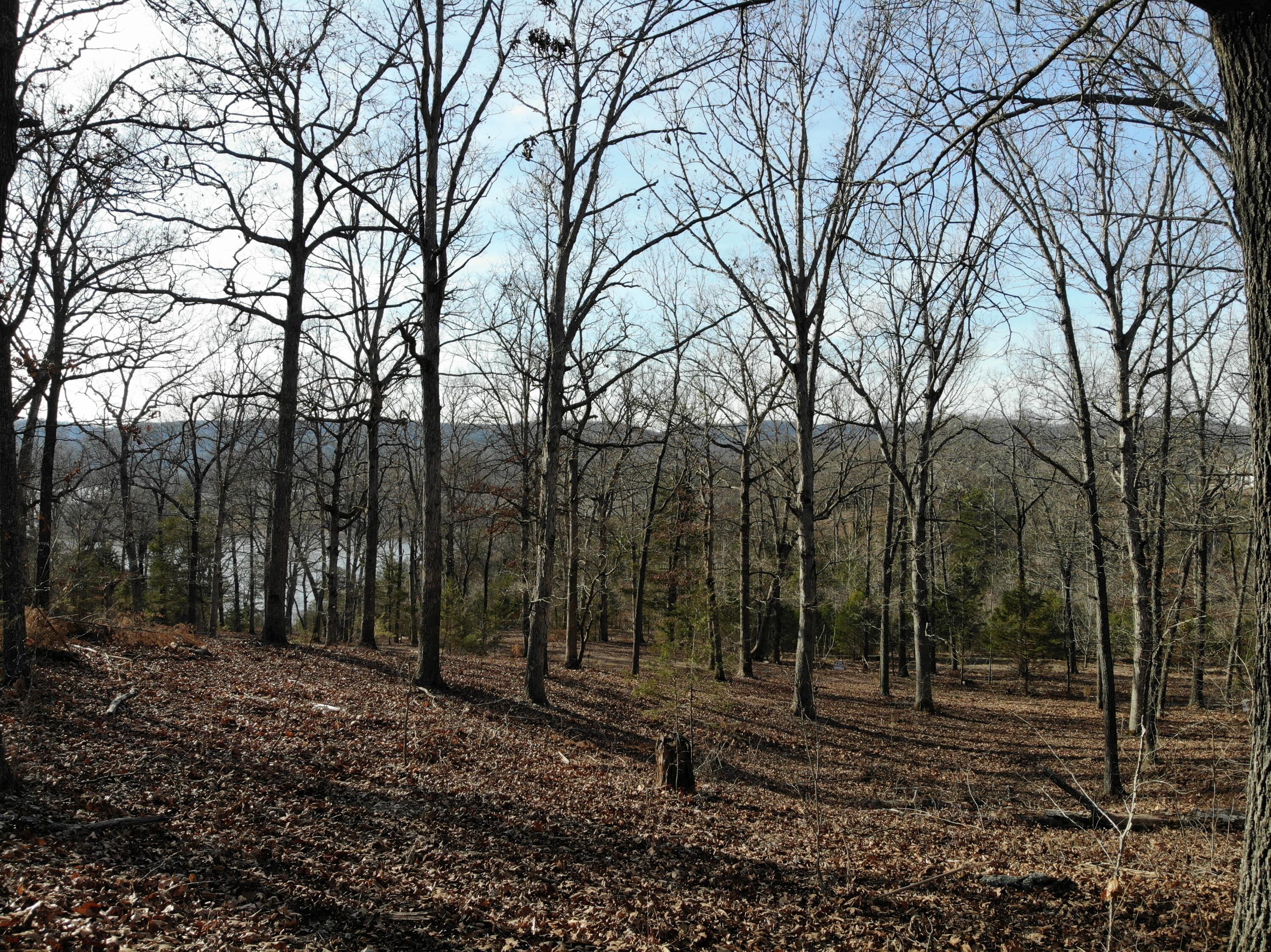 Lot 12 Private Road 1190 Property Photo 41