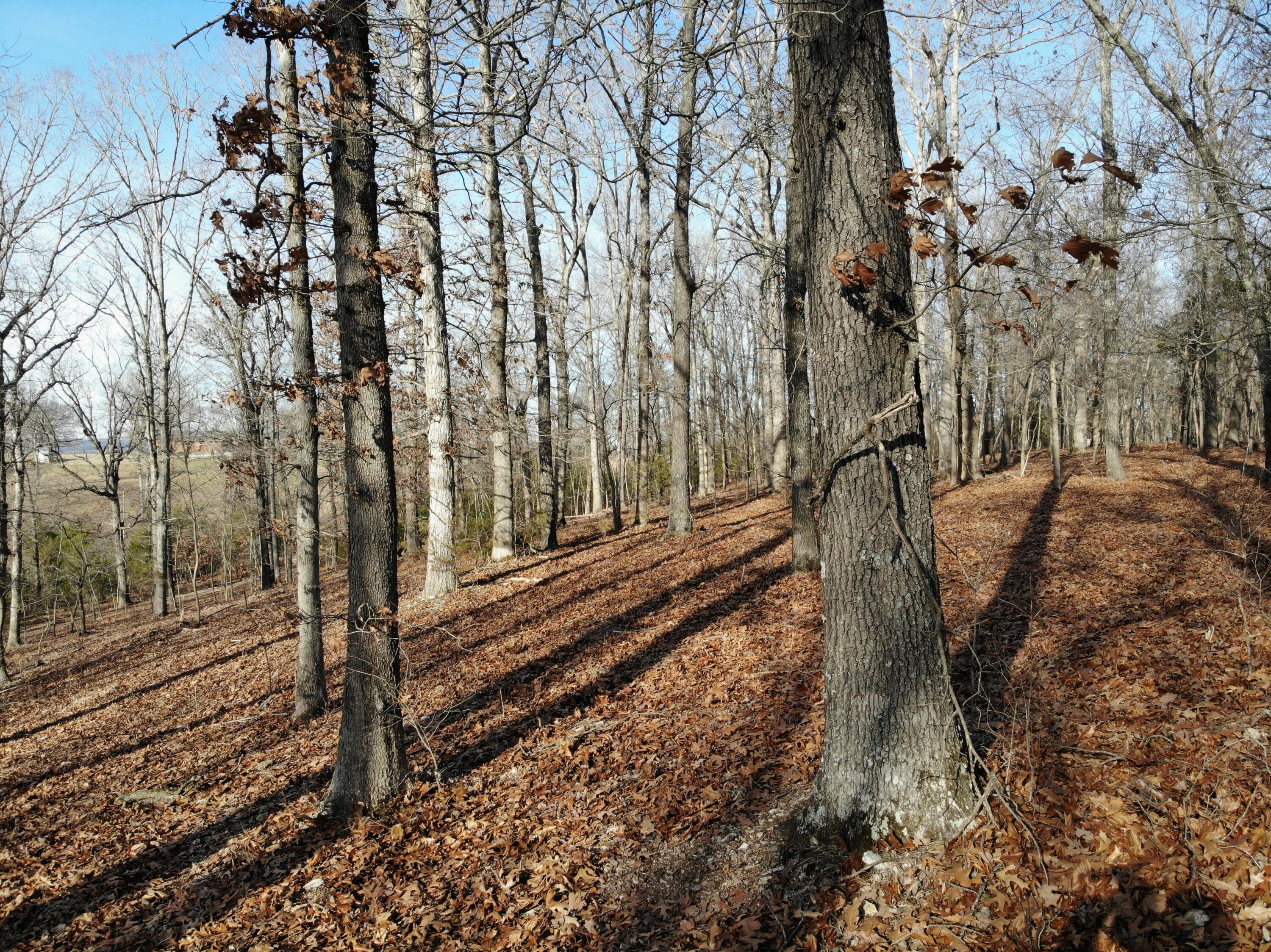 Lot 12 Private Road 1190 Property Photo 42