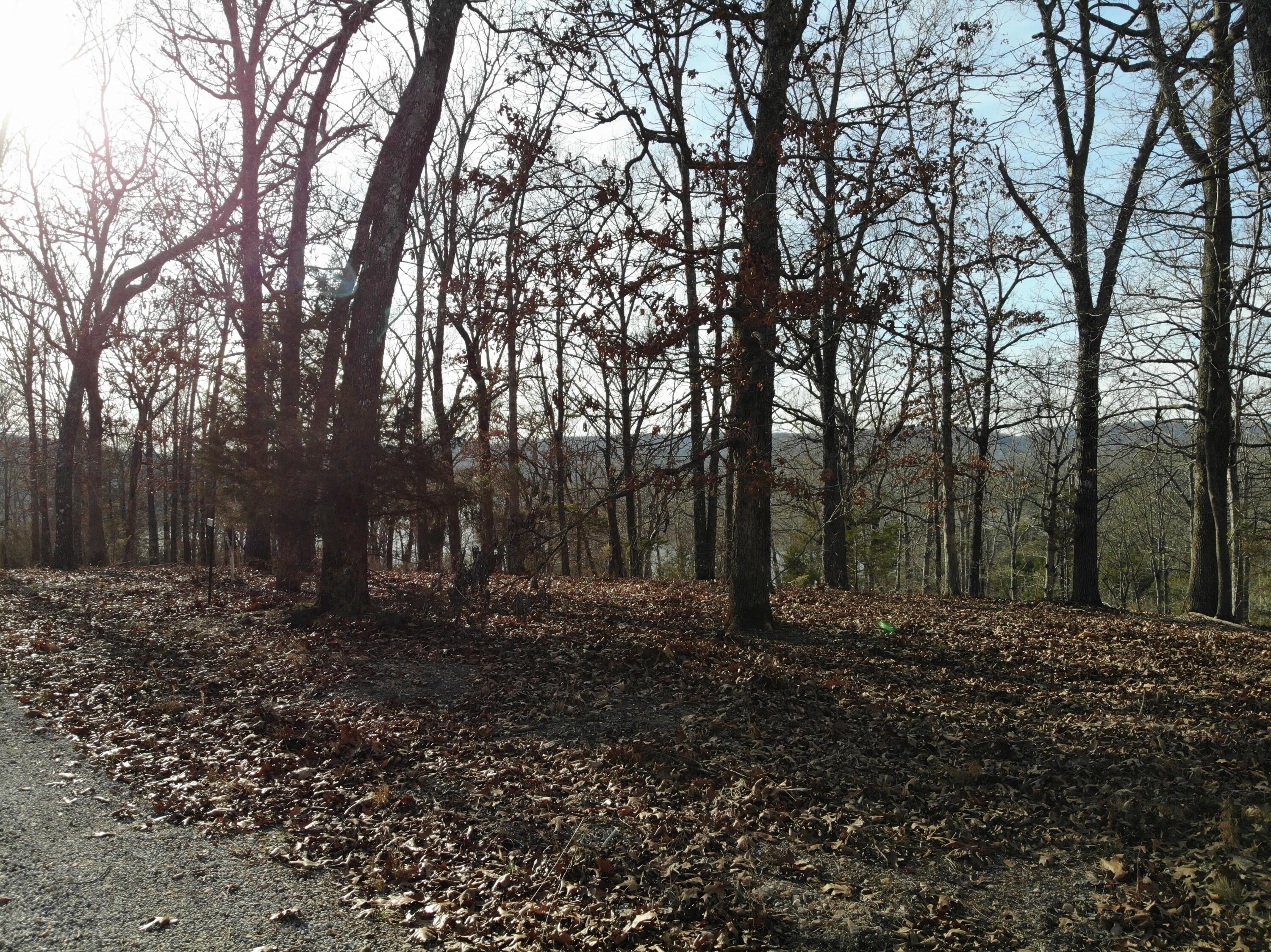 Lot 12 Private Road 1190 Property Photo 43
