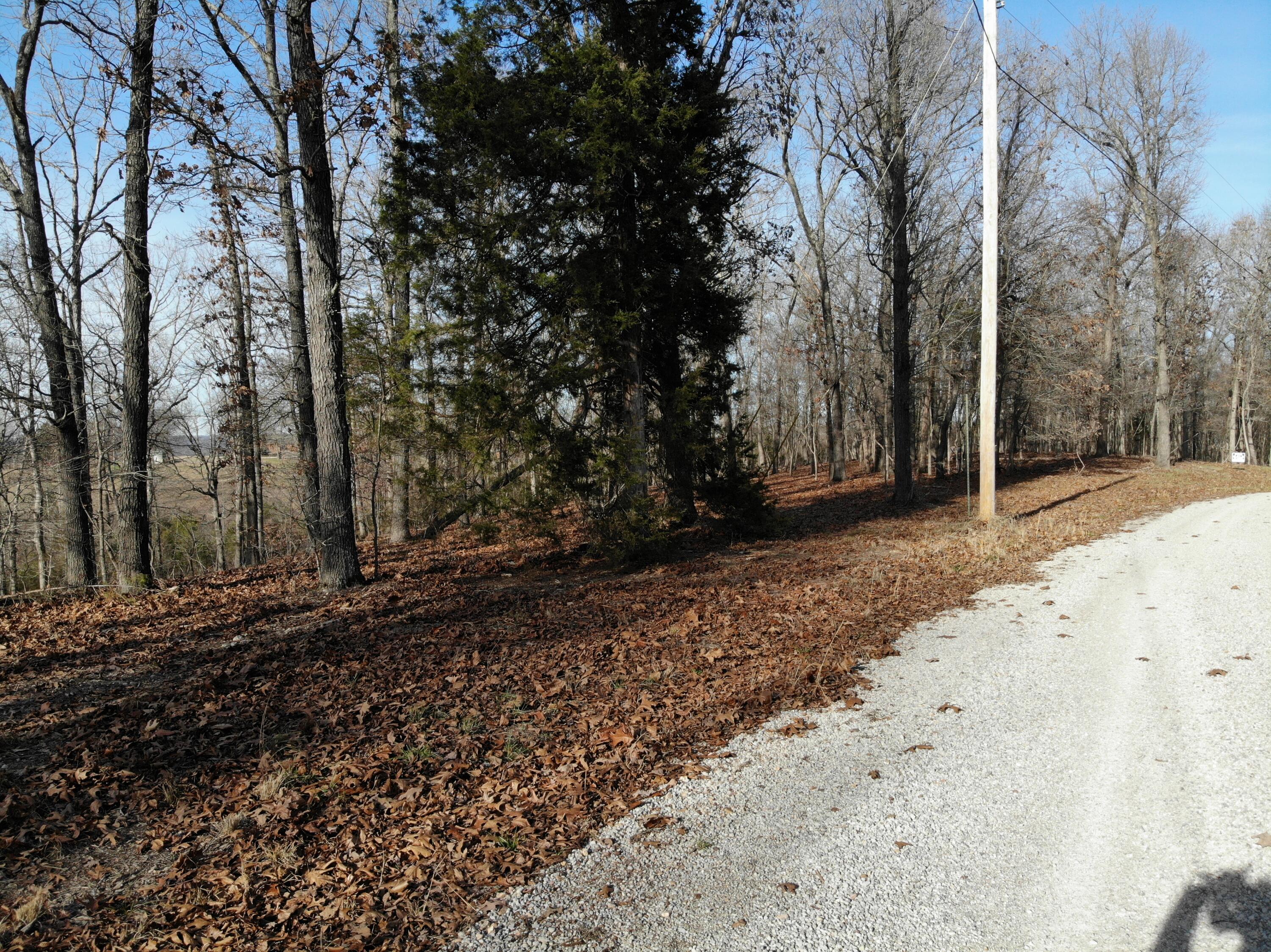 Lot 12 Private Road 1190 Property Photo 44
