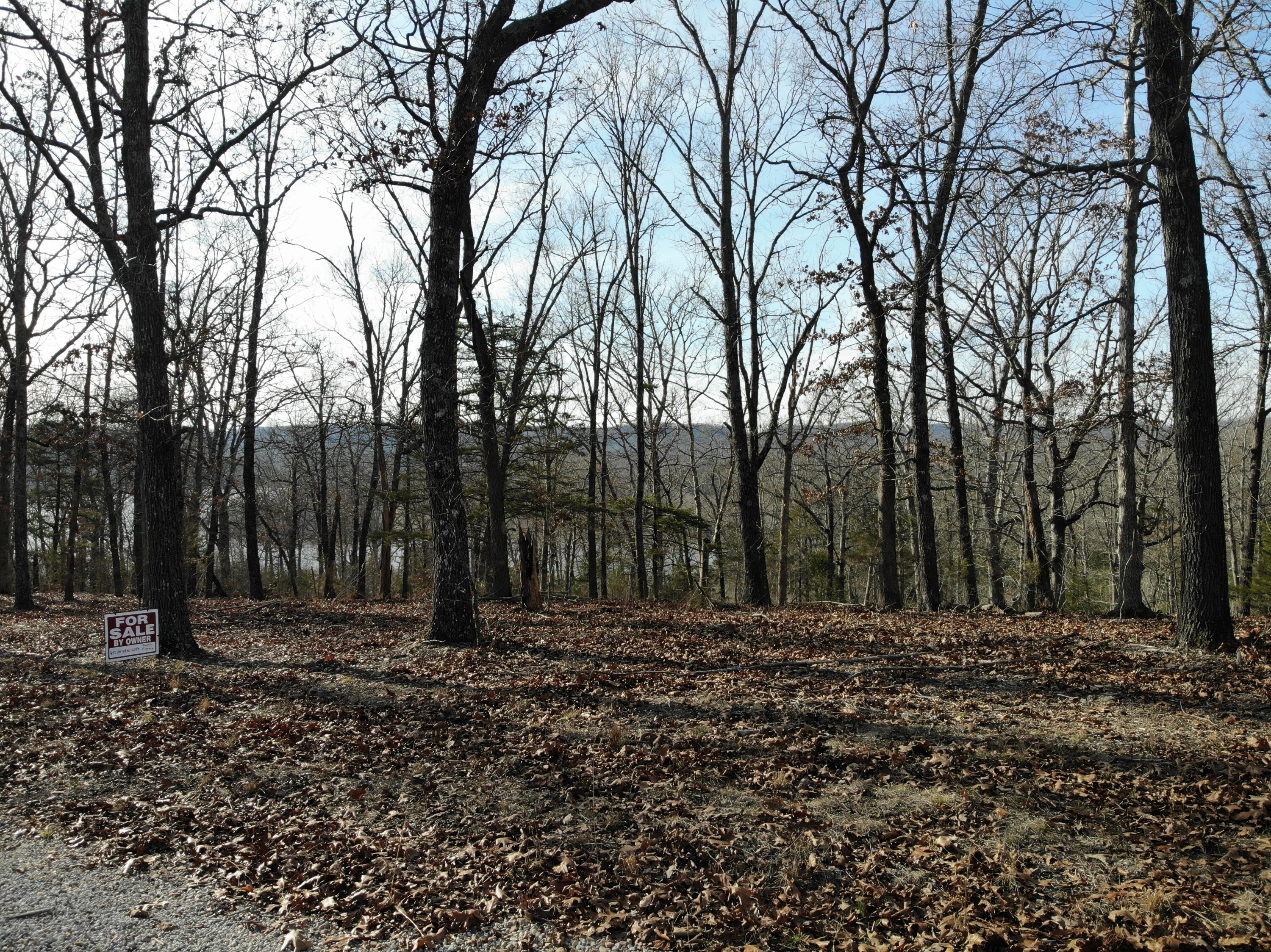 Lot 12 Private Road 1190 Property Photo 45
