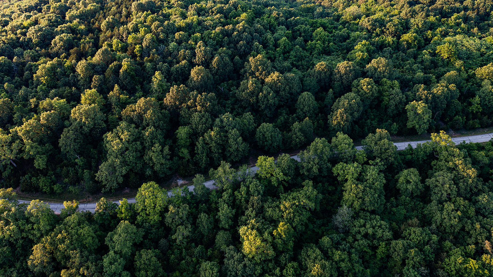 Lot 10 Hanging Branch Ridge Property Photo 3